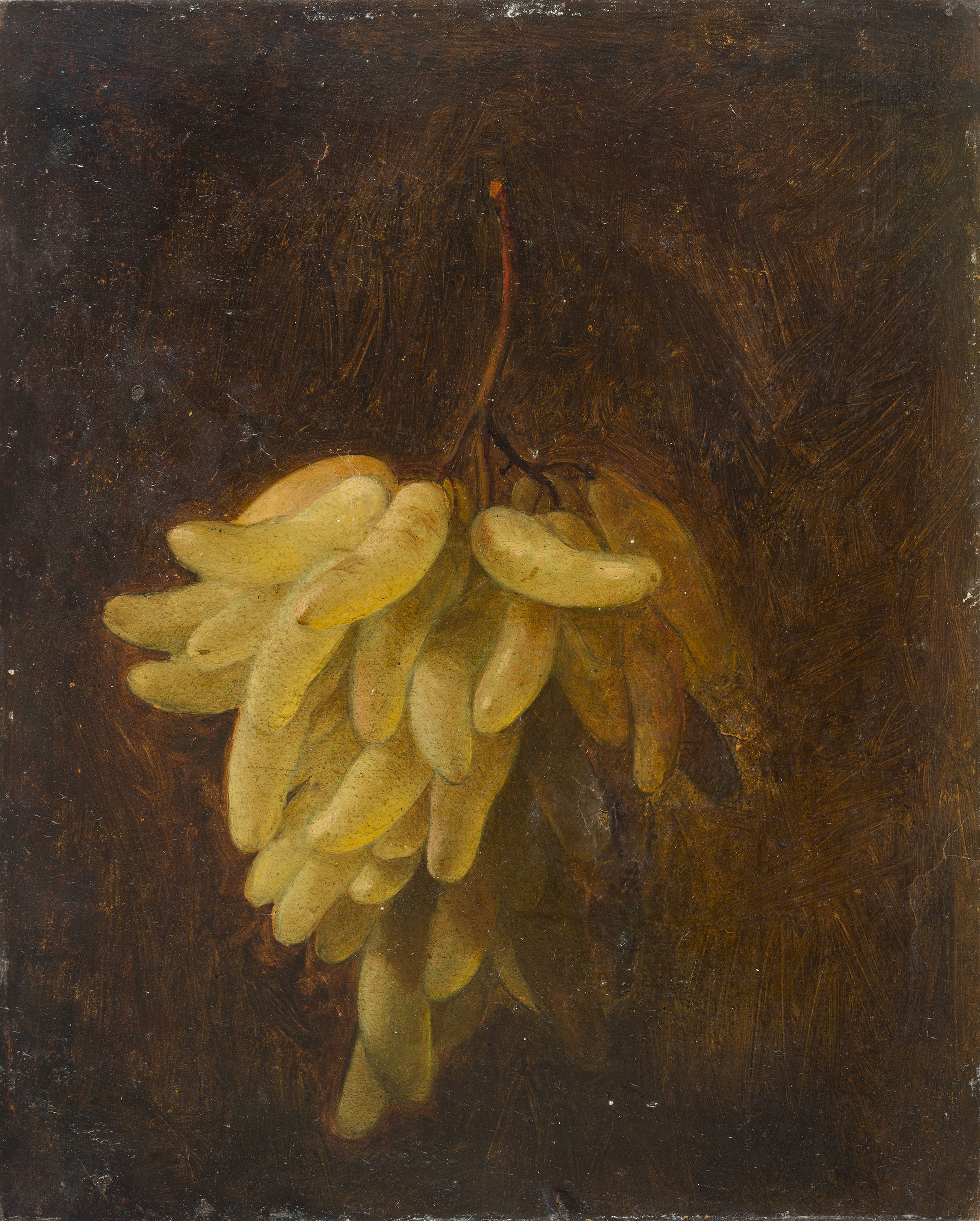 image for: Francesc Jubany - Natura morta - Cap a 1840-1852