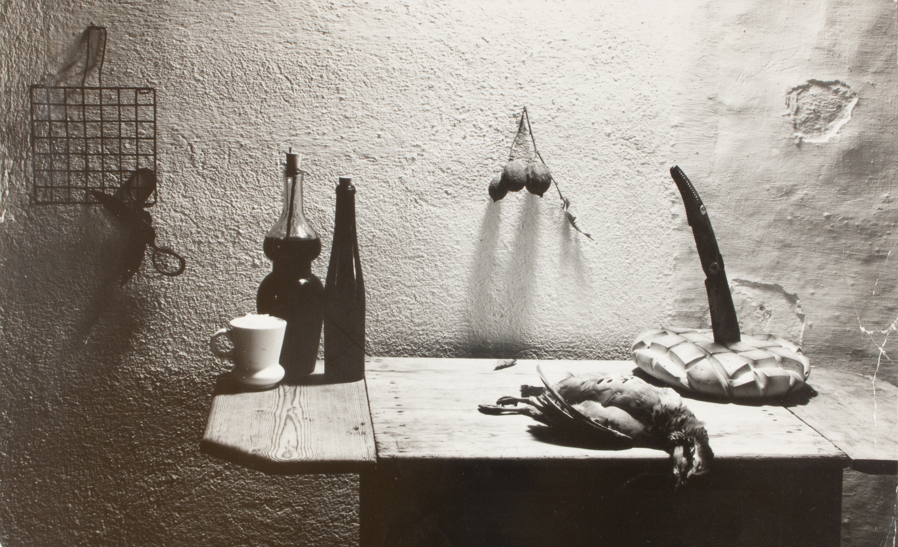 image for: Oriol Maspons - Fotografia per al llibre «La caza de la perdiz roja», de Miguel Delibes - 1962