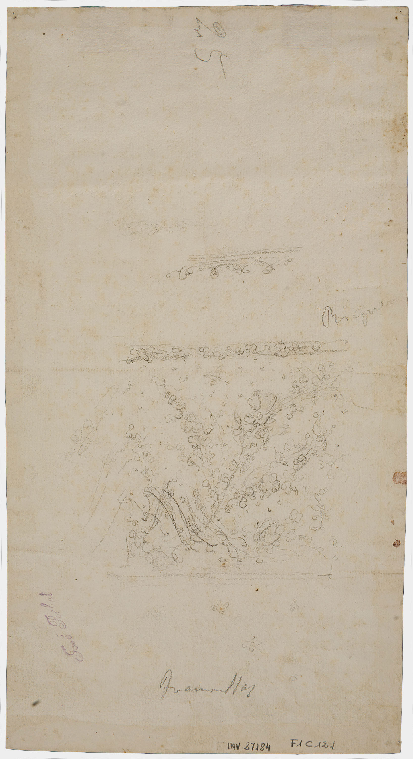 image for: Francesc Tramulles - D&#039;Herodes a Pilat (anvers) / Decoració vegetal (revers) - Cap a 1760 [1]