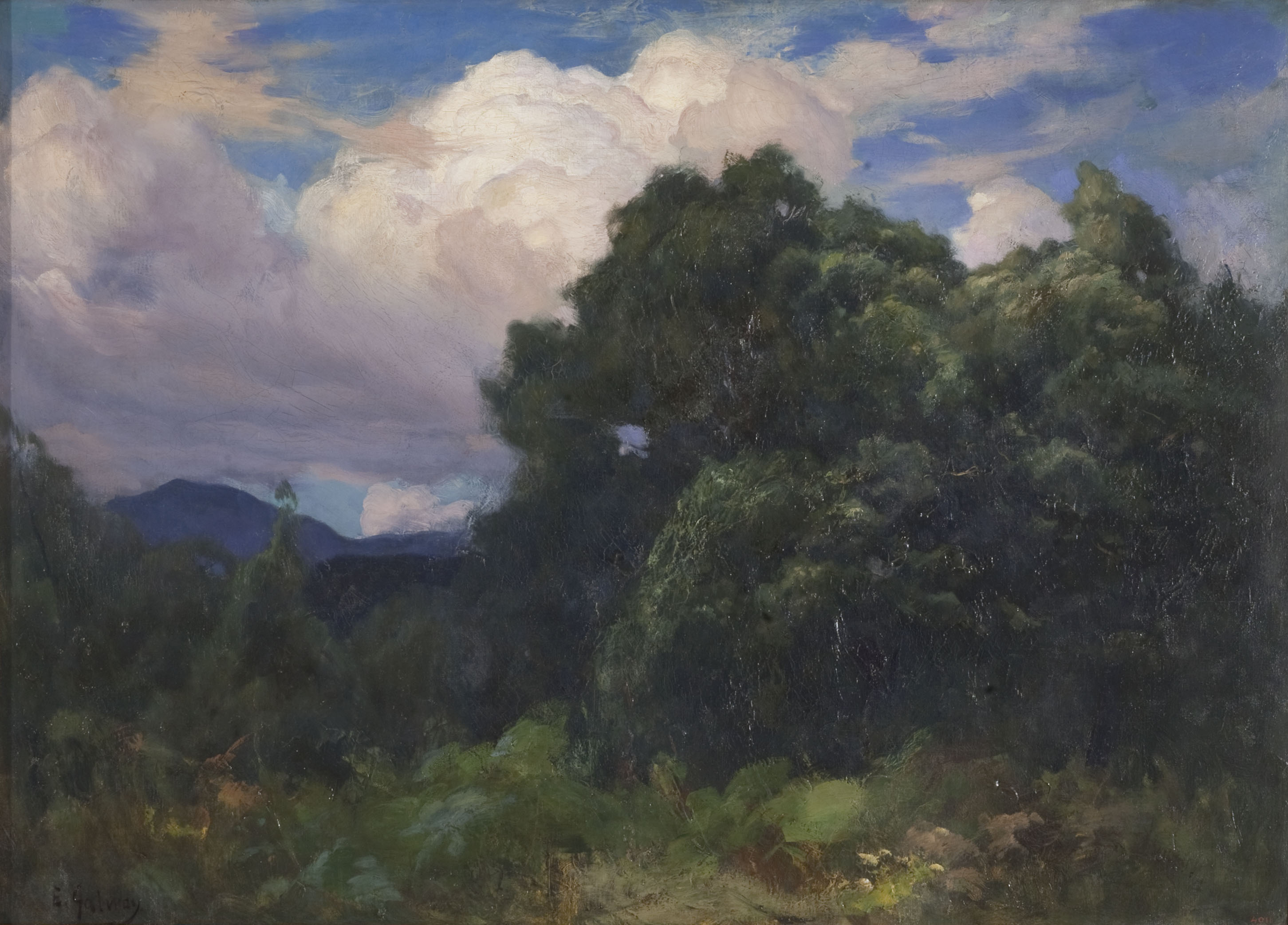 image for: Enric Galwey - Paisatge - [no-dating]
