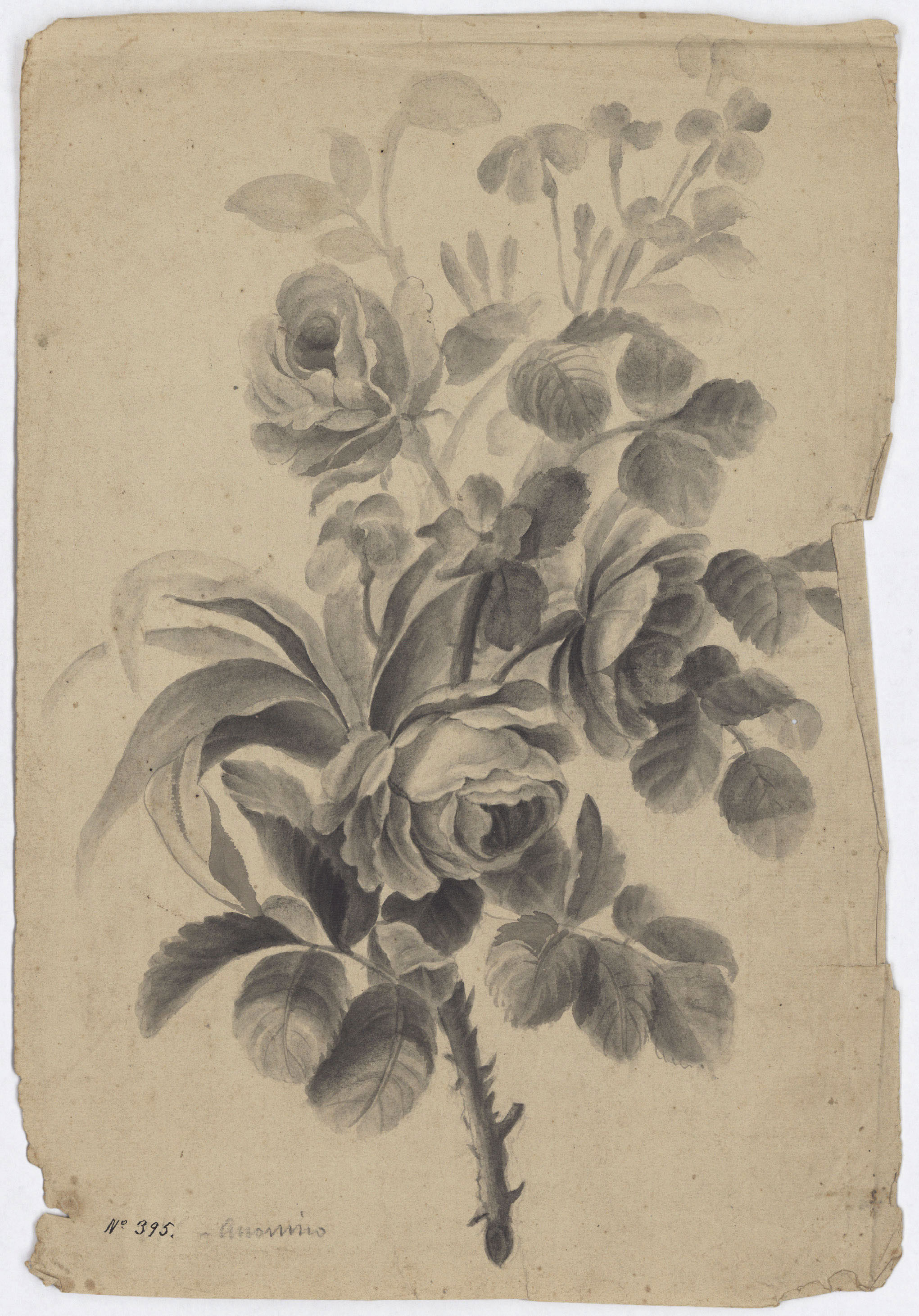 image for: Anònim - Estudi de flors - 16 de juny de 1829