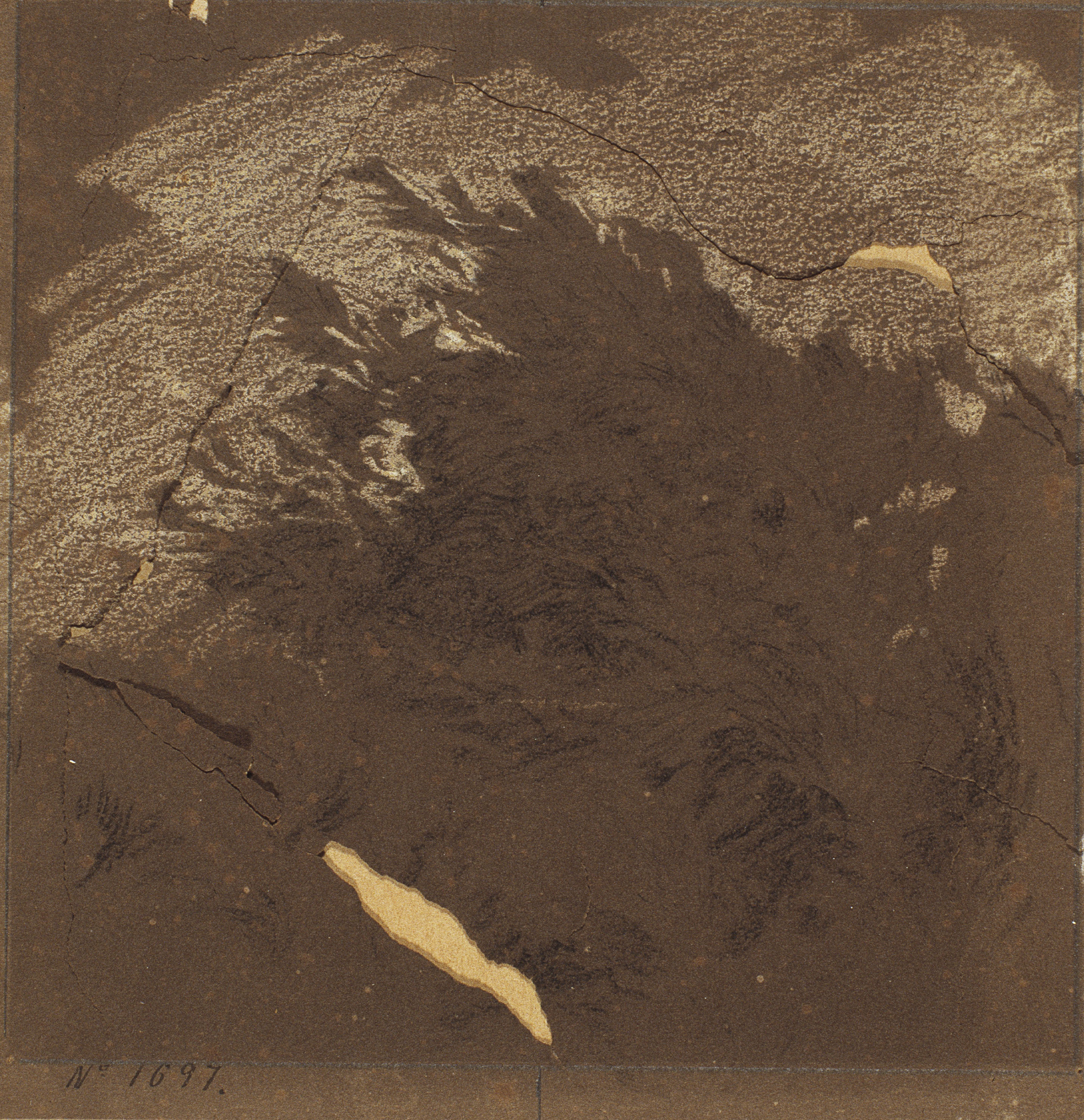 image for: Ramon Martí i Alsina - Matolls - Cap a 1870-1890