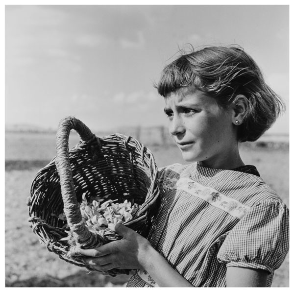 image for: Joana Biarnés - Jove recollidora de la flor del safrà al poble de Consuegra - 1967 (tiratge 2017)