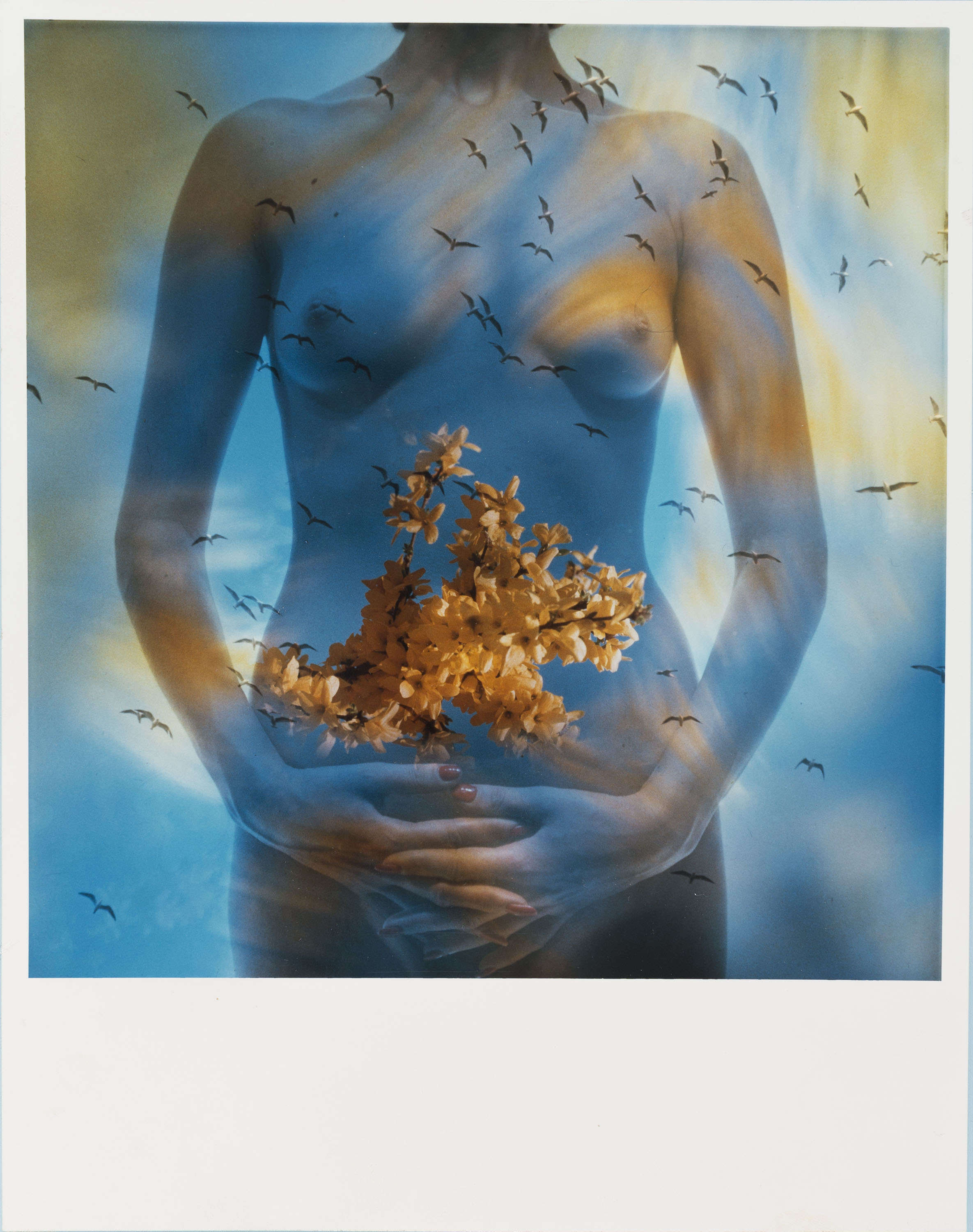 image for: Eugeni Forcano - Afrodita - 1984