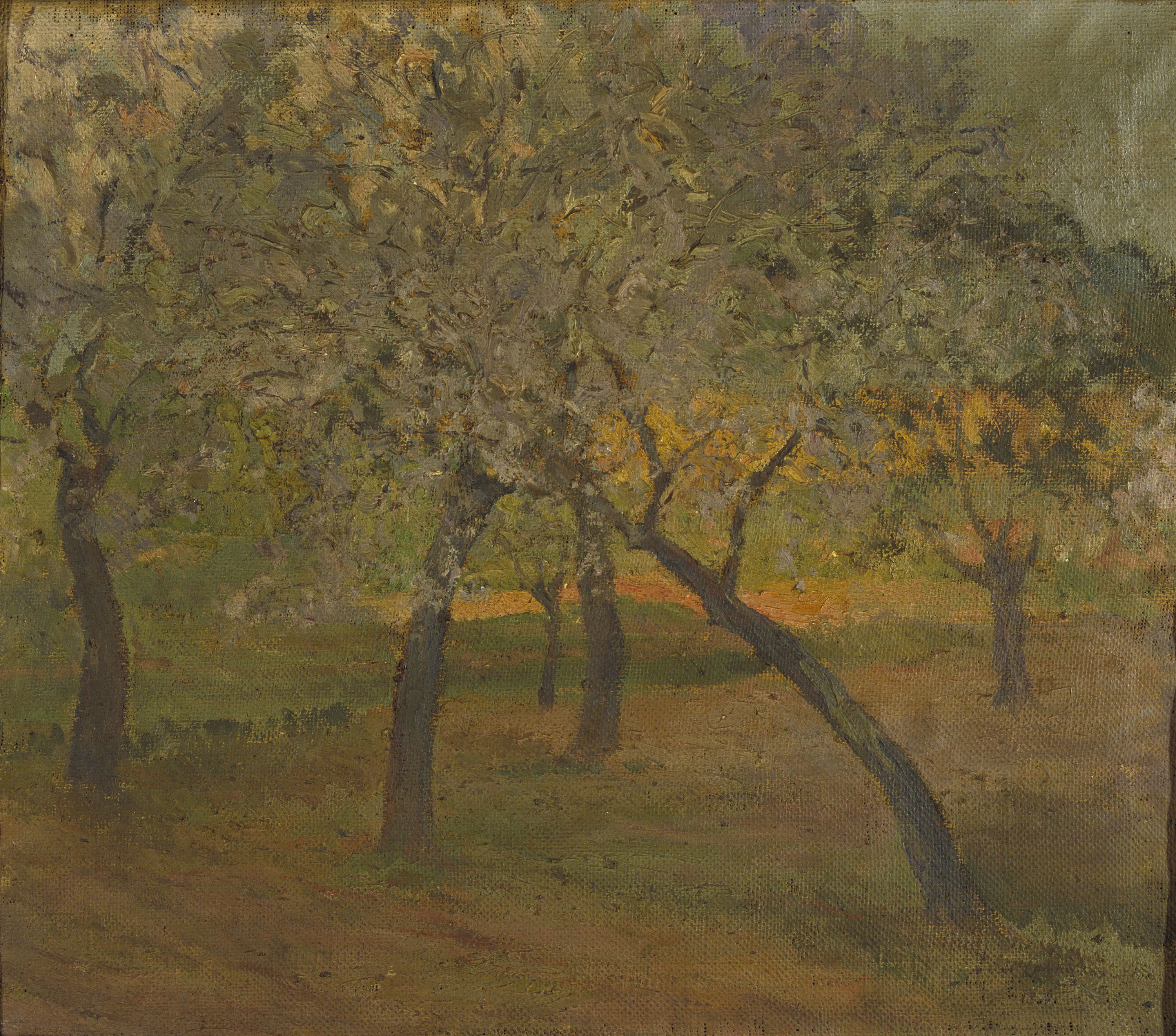image for: Alexandre de Cabanyes - Conreu amb un grup d&#039;arbres florits - Primera meitat del segle XX