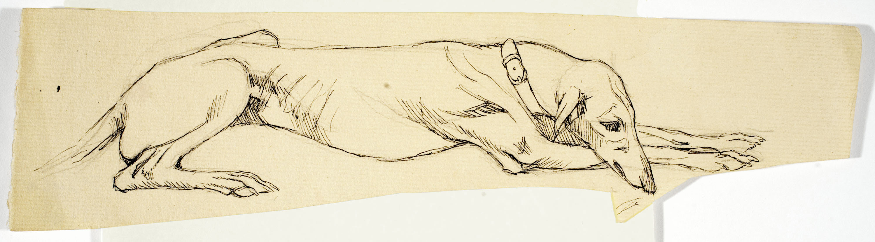 image for: Ismael Smith - Llebrer - Cap a 1906-1910