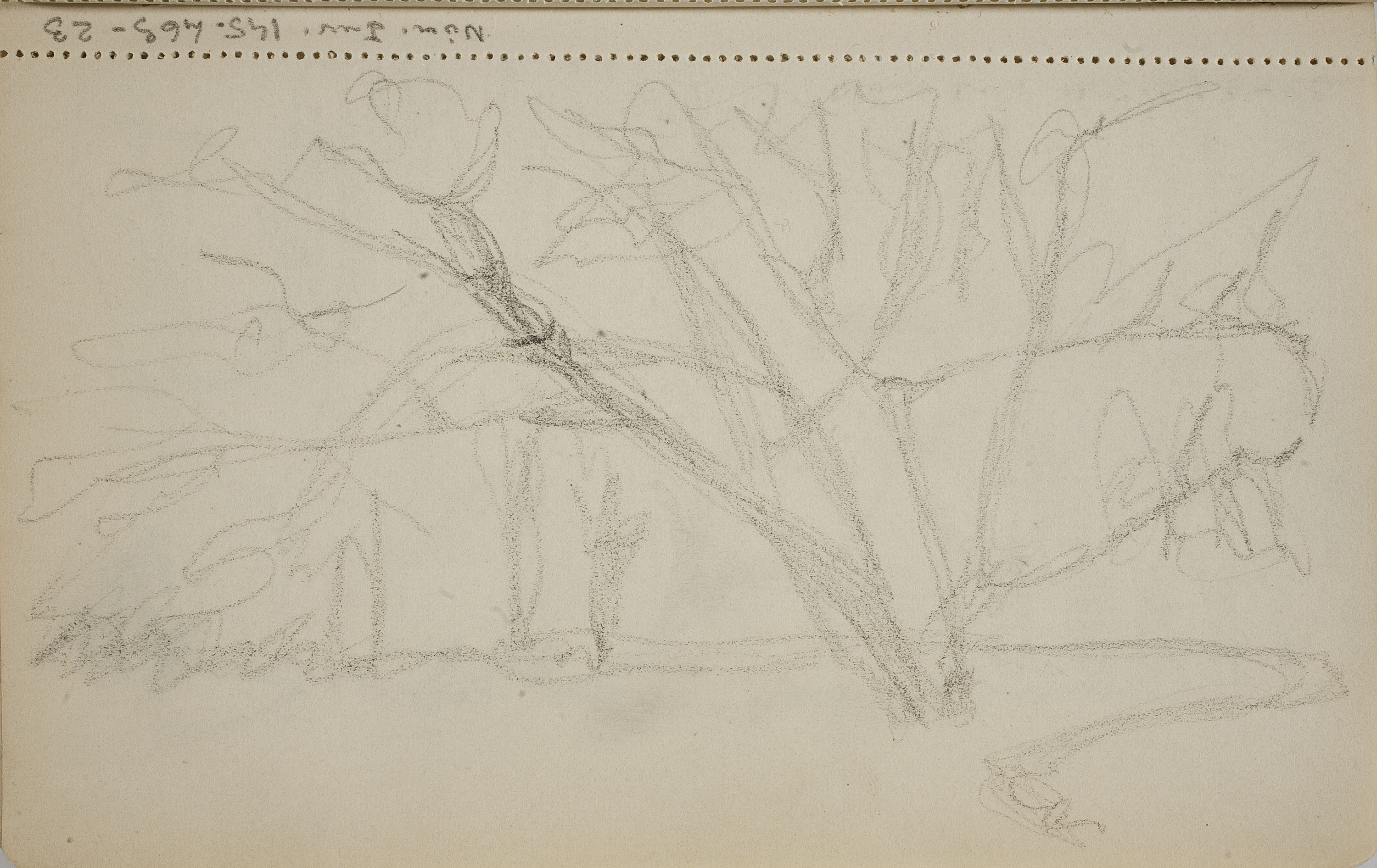 image for: Ismael Smith - Croquis inconcret - Cap a 1909-1916