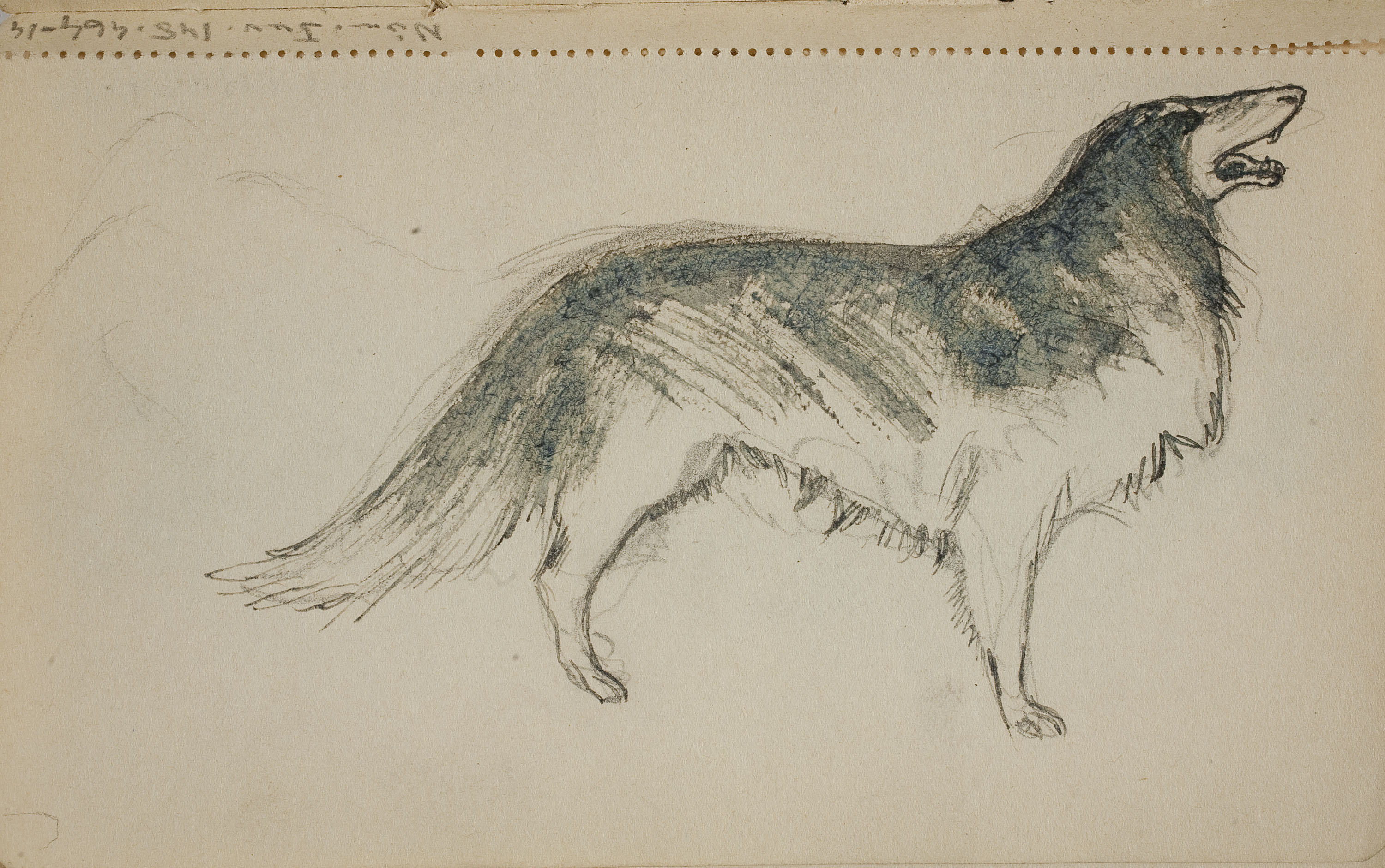 image for: Ismael Smith - Gos - Cap a 1912