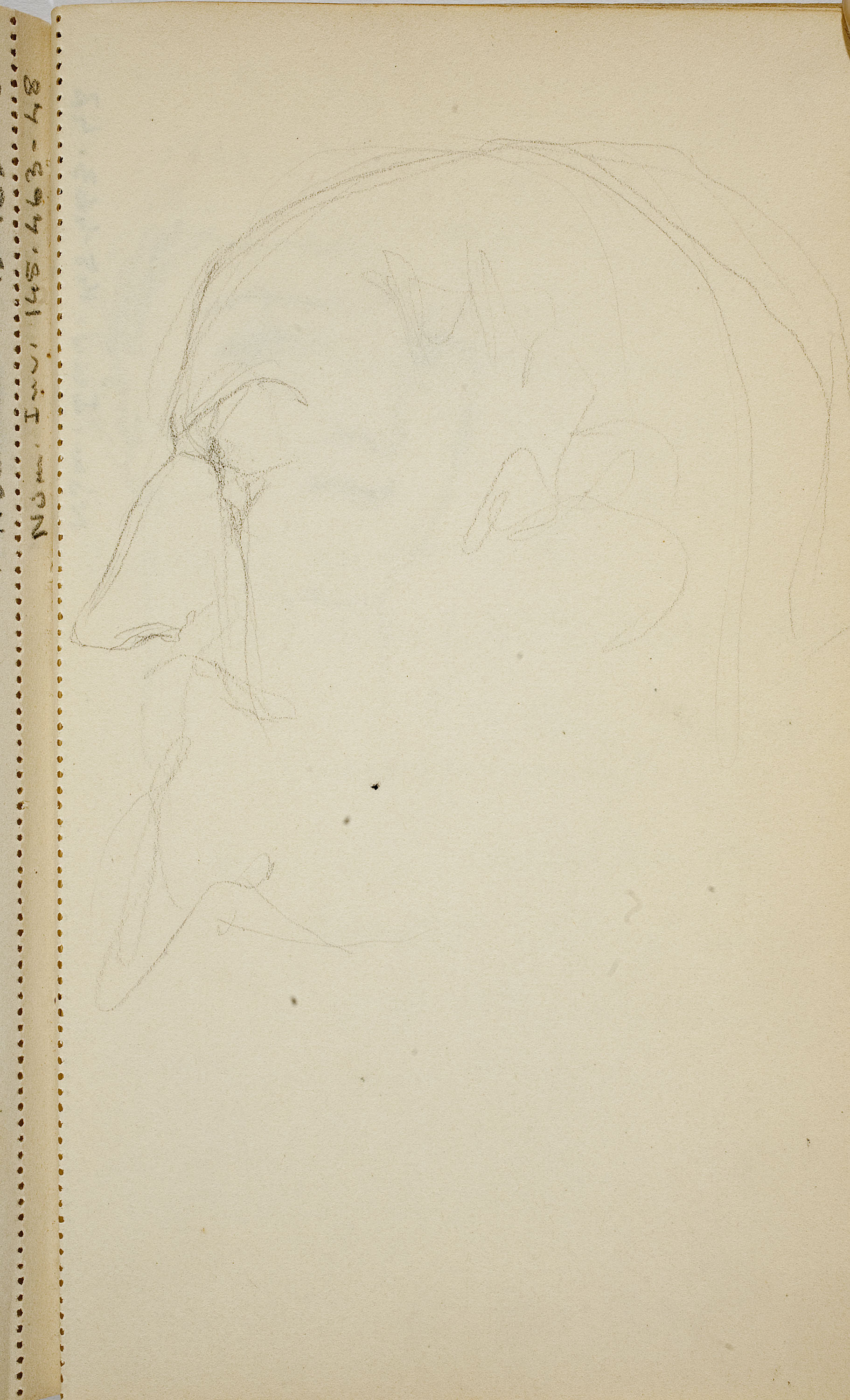 image for: Ismael Smith - Rostre masculí - Cap a 1909-1916