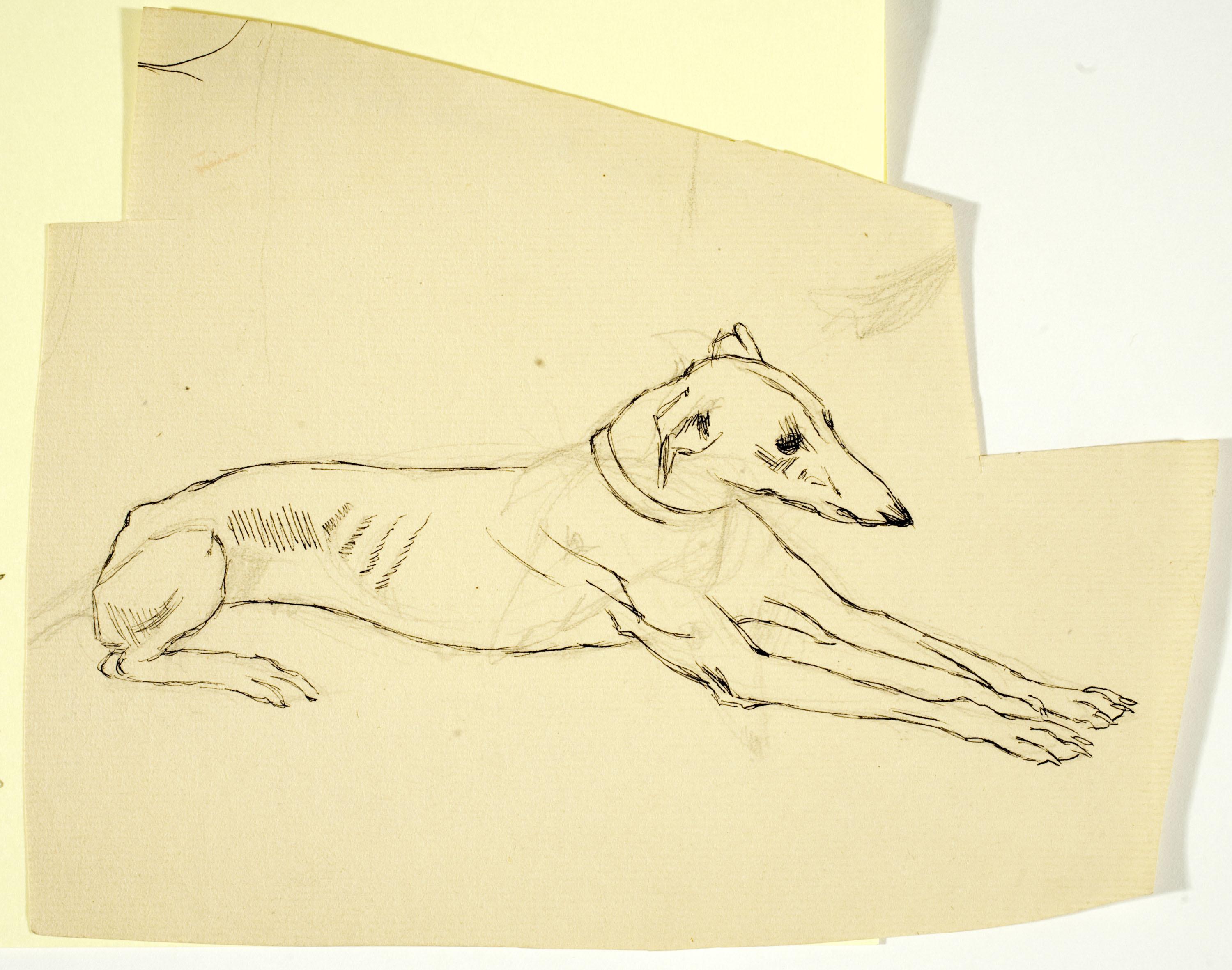 image for: Ismael Smith - Llebrer - Cap a 1906-1910