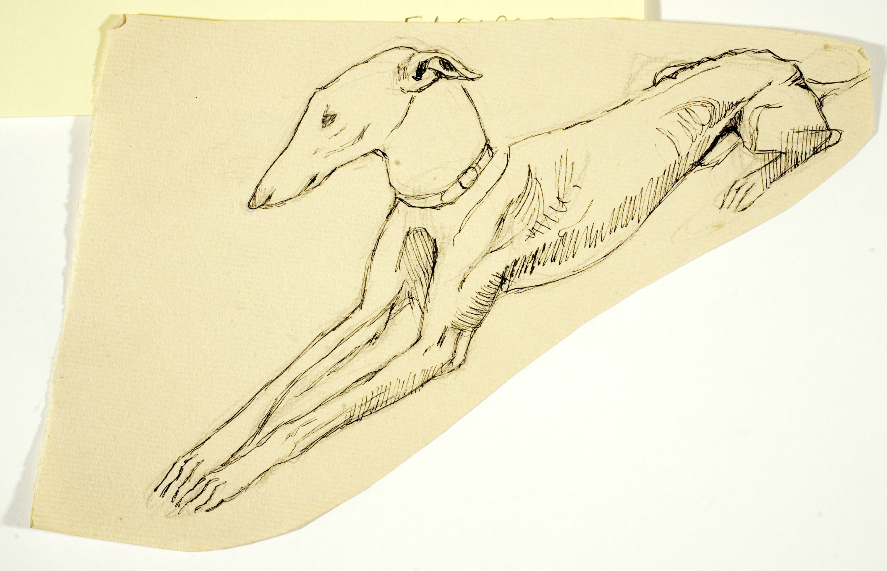 image for: Ismael Smith - Llebrer - Cap a 1906-1910