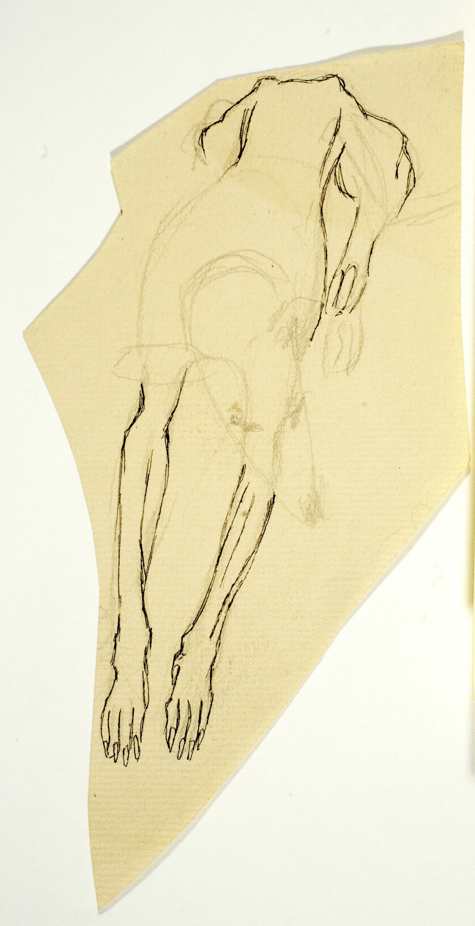 image for: Ismael Smith - Llebrer - Cap a 1906-1910