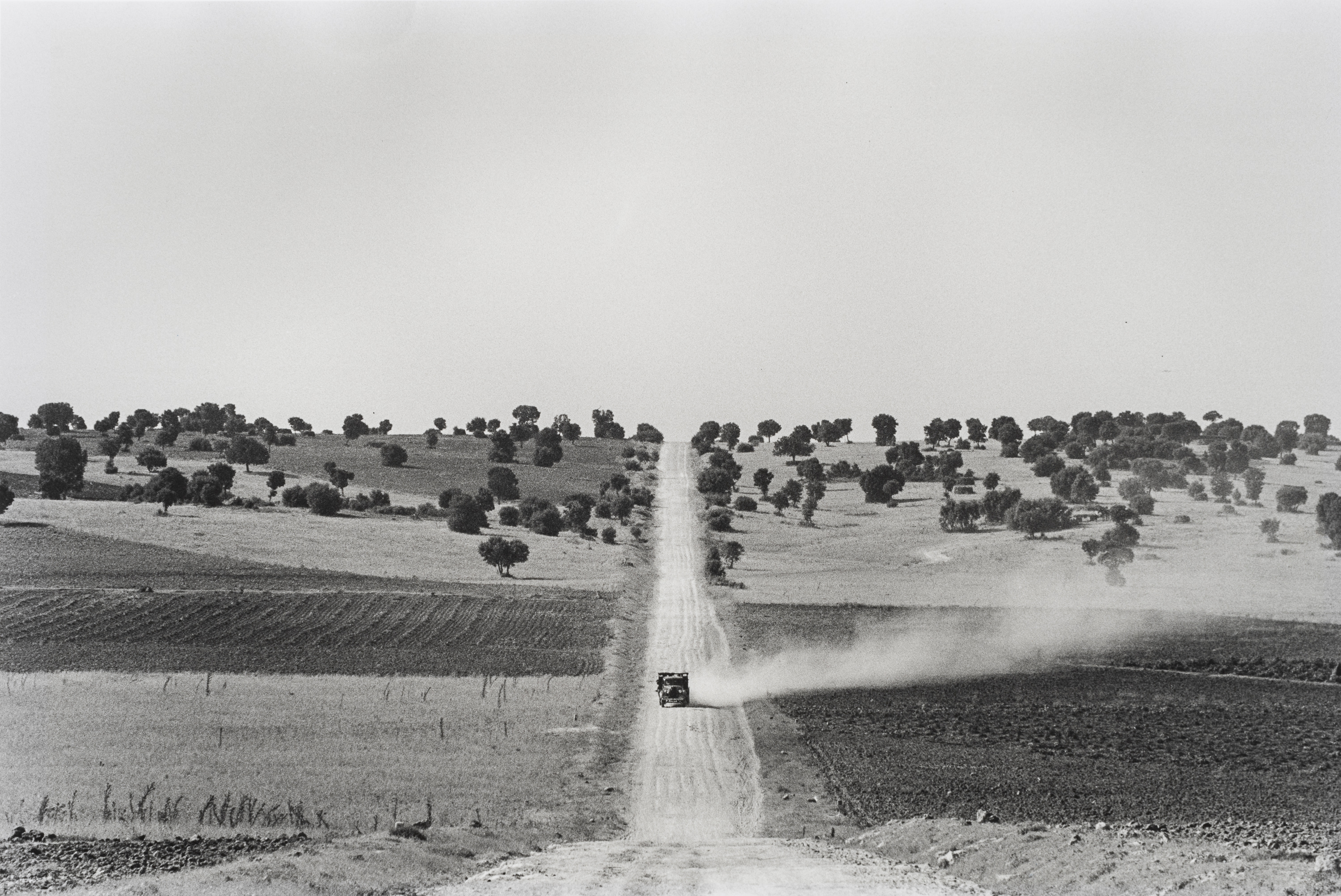 image for: Oriol Maspons - La Mancha - 1961 (tiratge posterior)