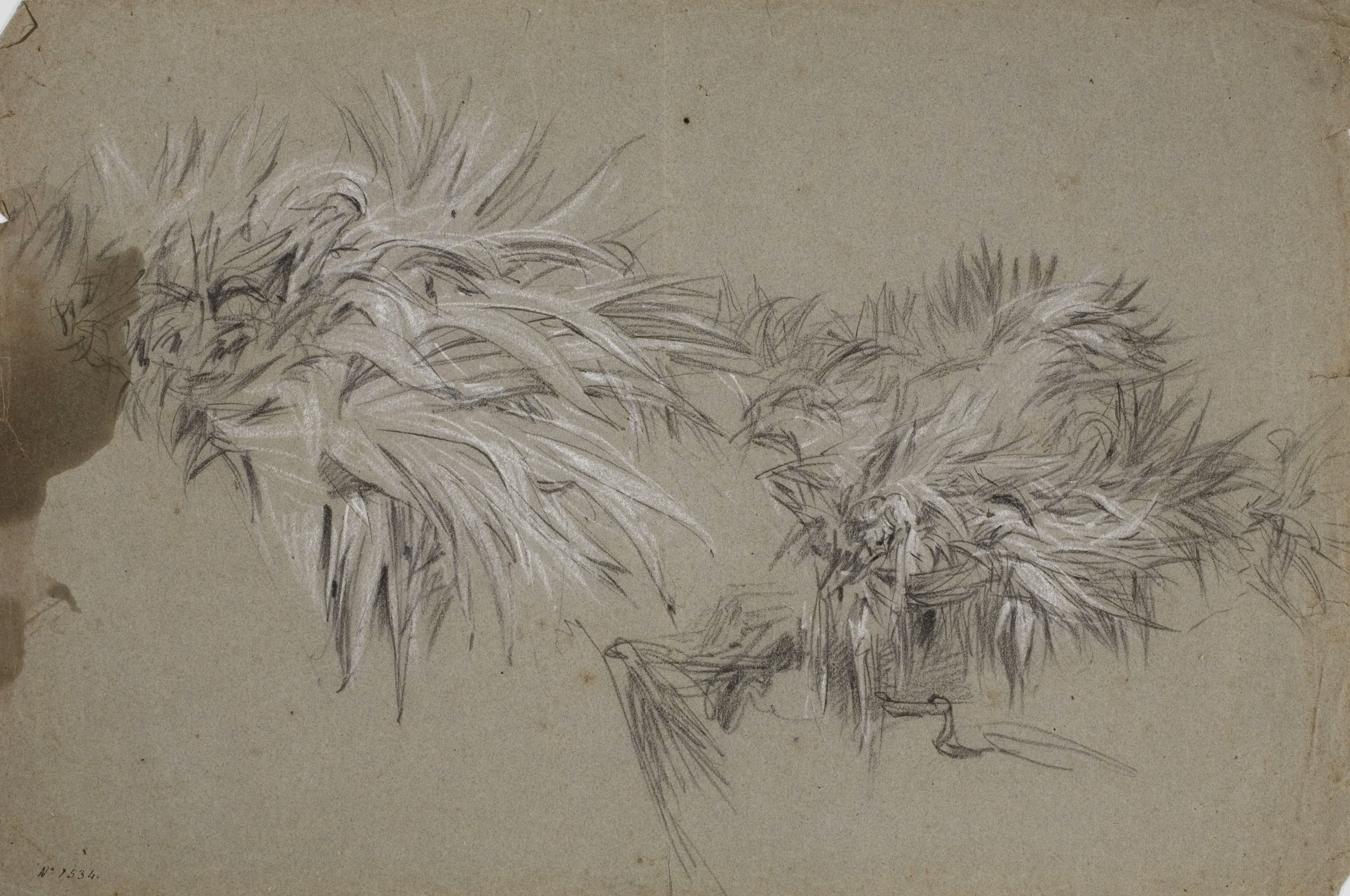 image for: Ramon Martí i Alsina - Estudi d'atzavares - Cap a 1870-1880