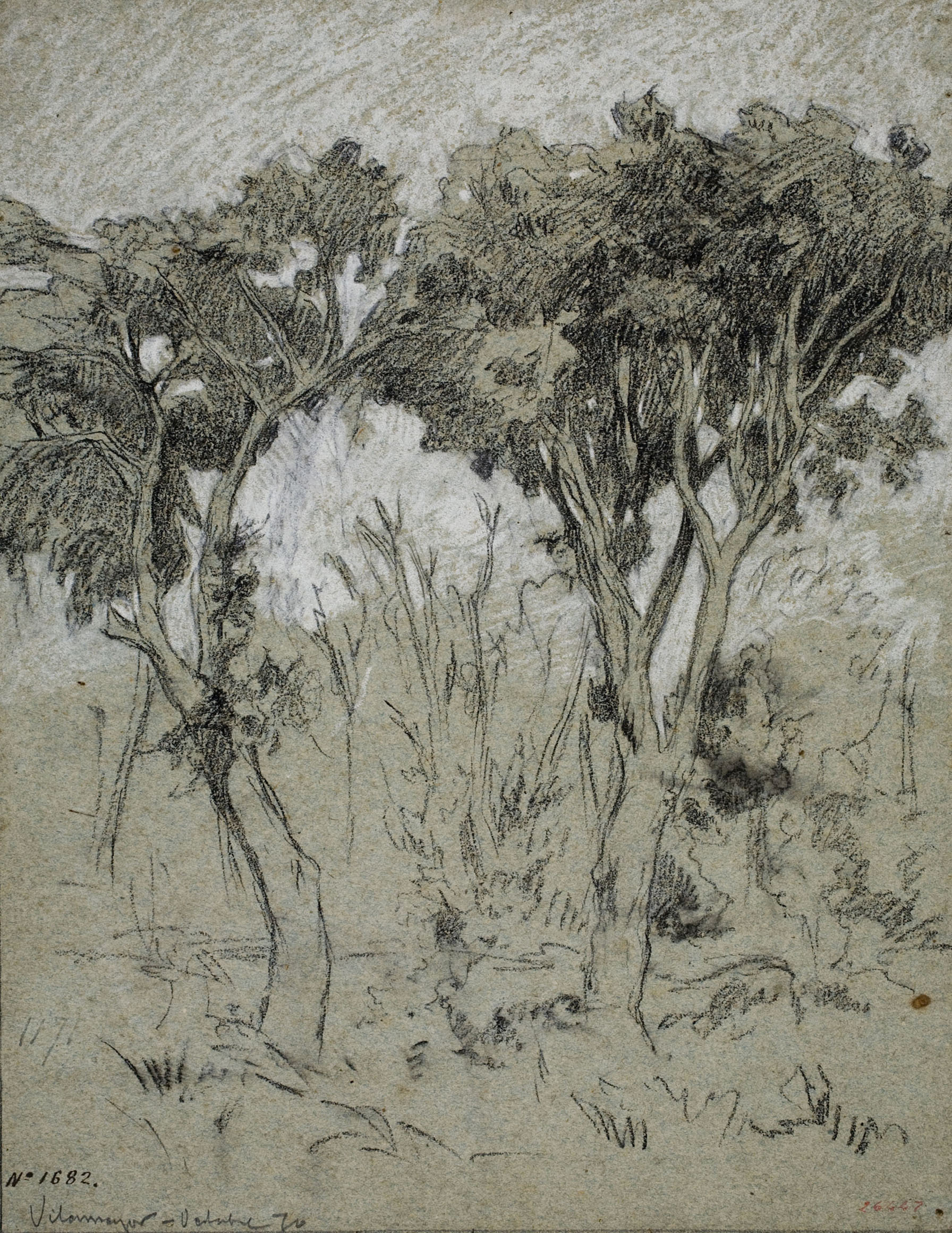image for: Ramon Martí i Alsina - Vilamajor (estudi de dos arbres) - 1870