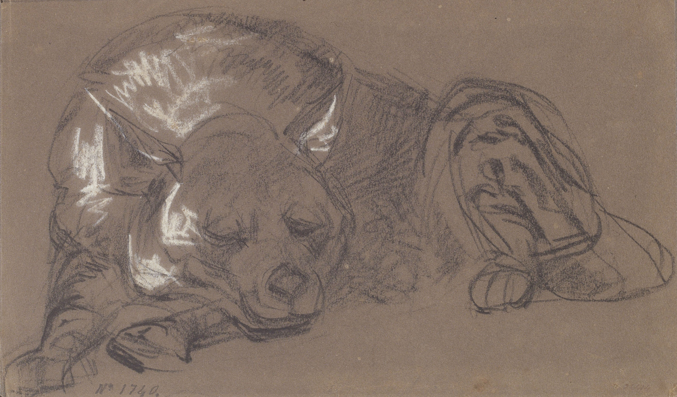 image for: Ramon Martí i Alsina - Una guineu dormint - Cap a 1870-1880