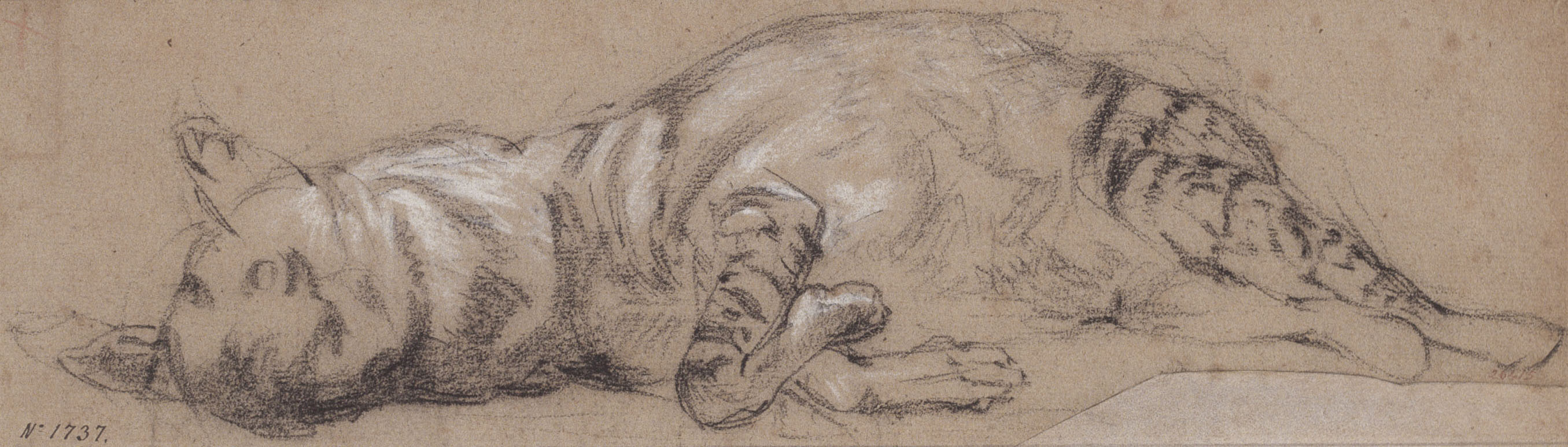 image for: Ramon Martí i Alsina - Una guineu ajaguda - Cap a 1870-1880