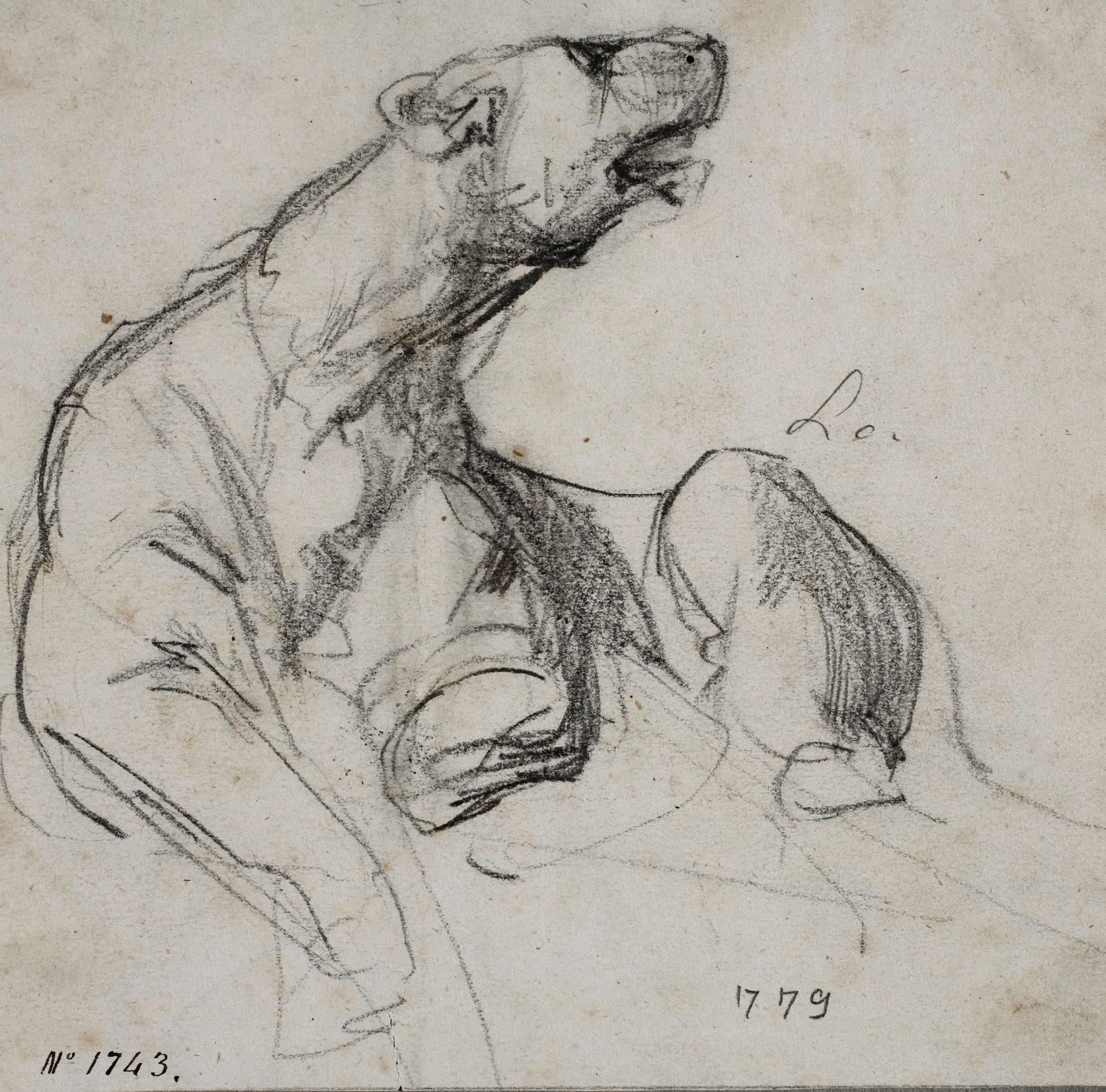 image for: Ramon Martí i Alsina - Lleona - Cap a 1870-1880