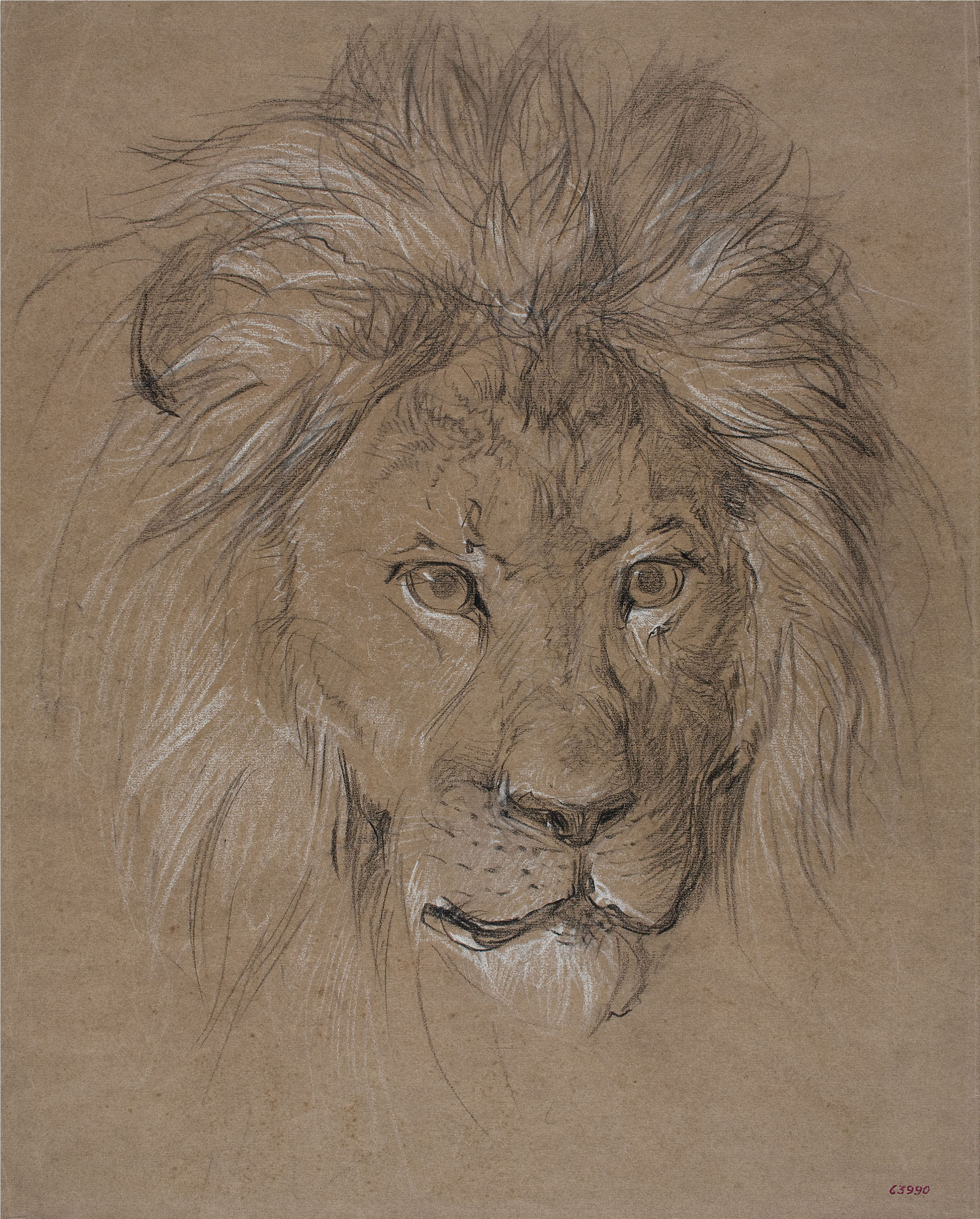 image for: Ramon Martí i Alsina - Cap de lleó de front - Cap a 1870-1880