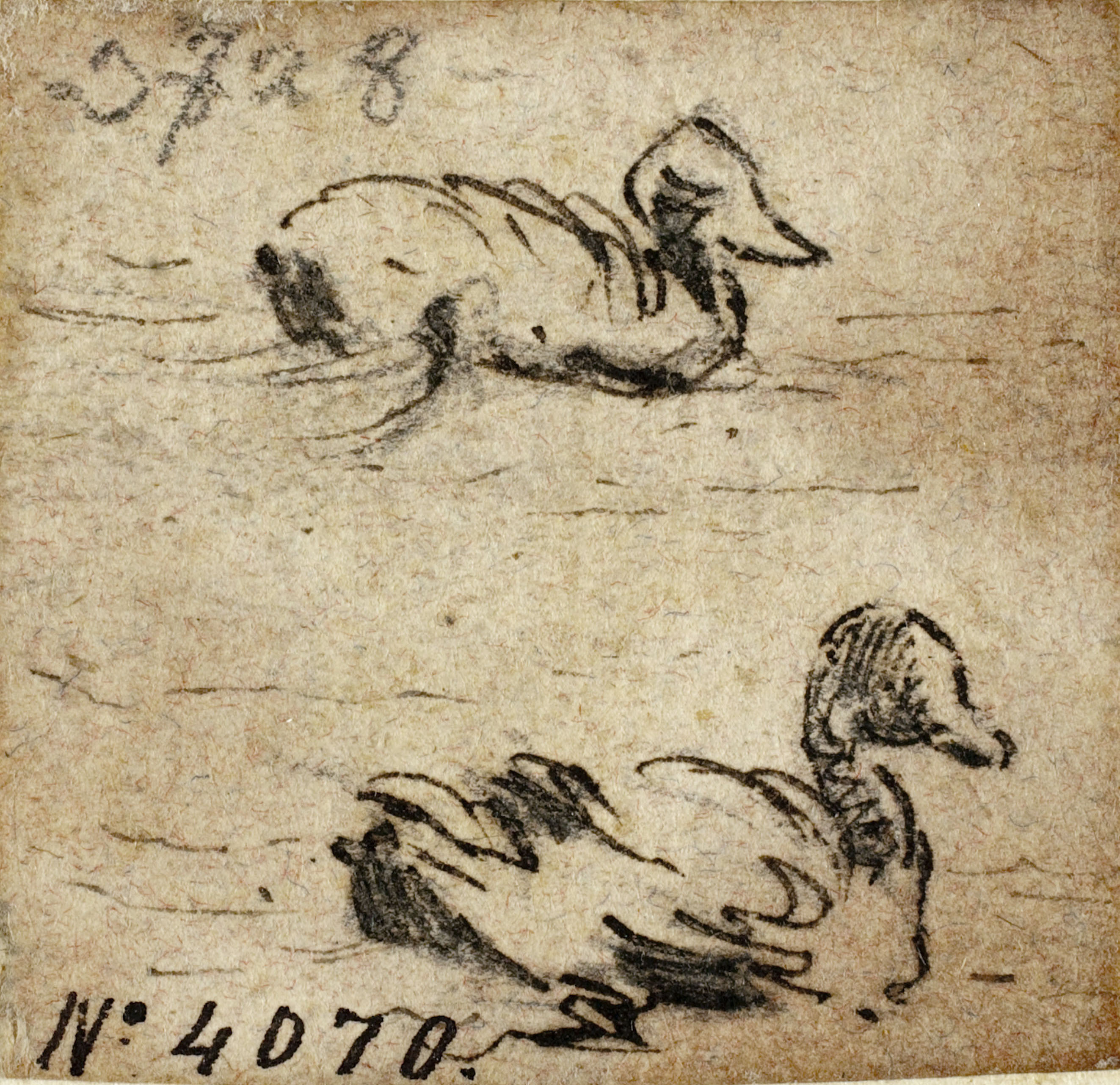 image for: Modest Urgell - Ànecs - Cap a 1864