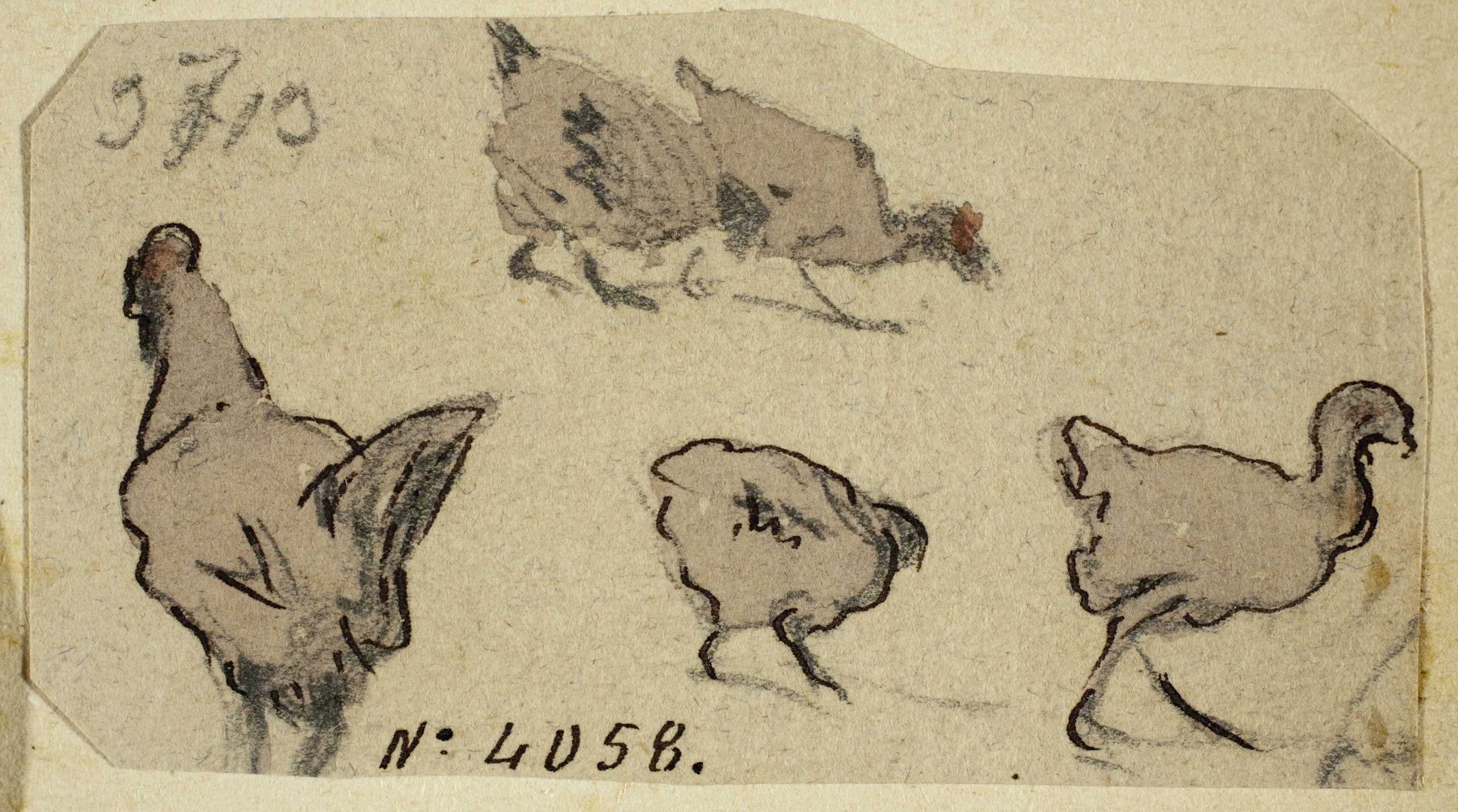 image for: Modest Urgell - Pollets i gallines - Cap a 1864