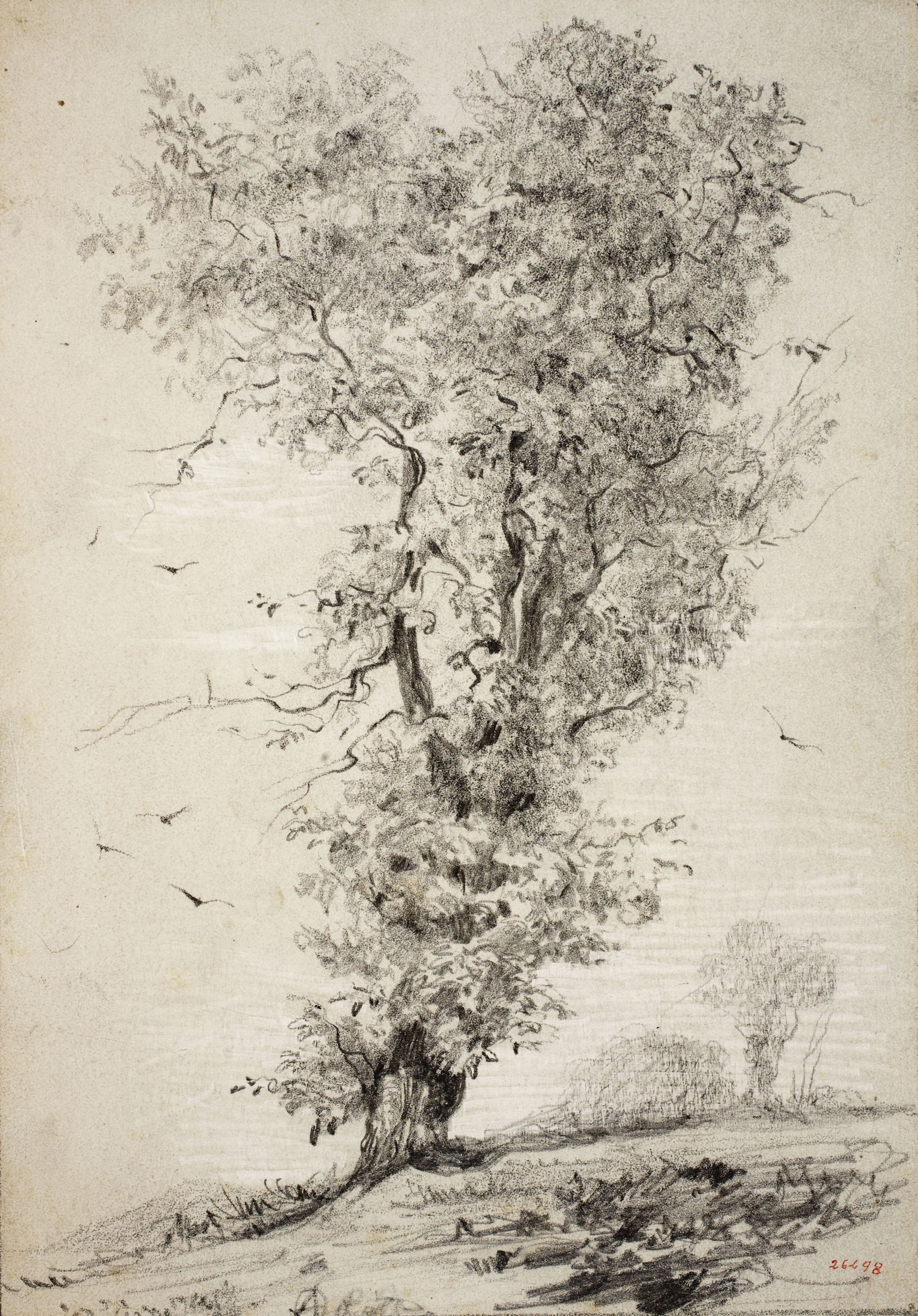 image for: Modest Urgell - Arbre - Cap a 1864