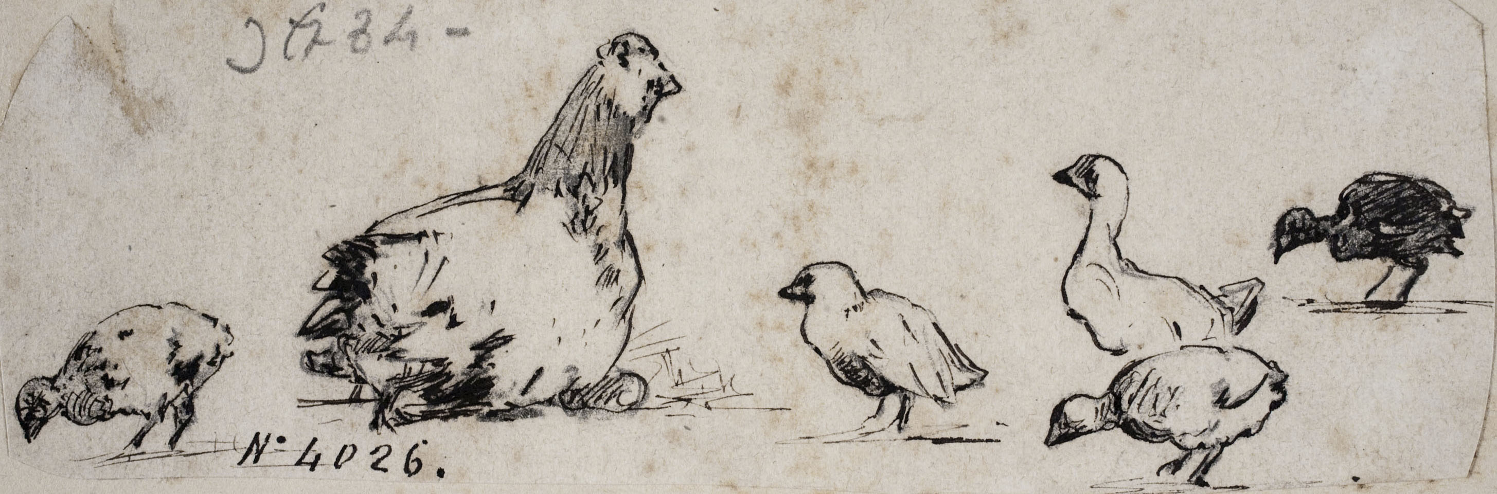 image for: Modest Urgell - Gallina i pollets - Cap a 1864