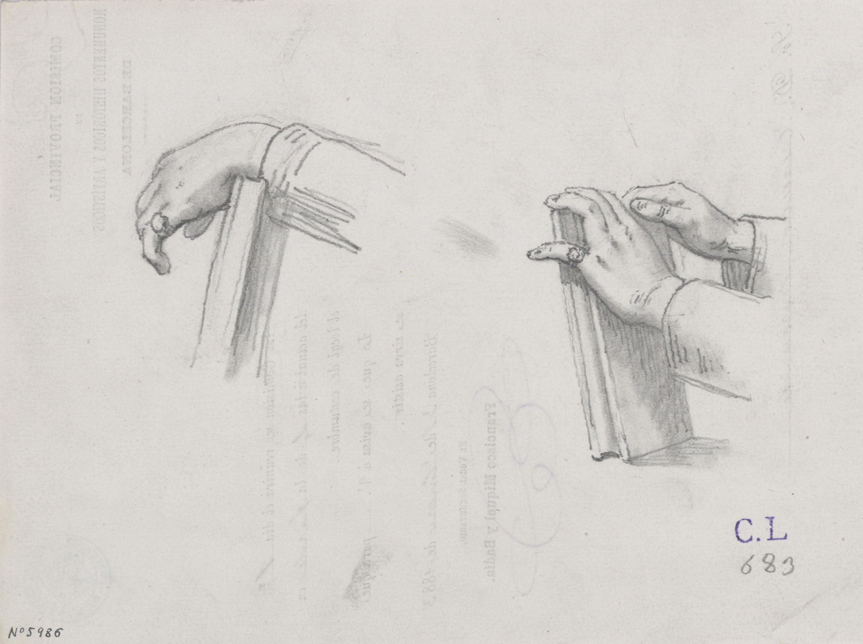 image for: Claudi Lorenzale - Estudi de mans sostenint un llibre - Cap a 1883