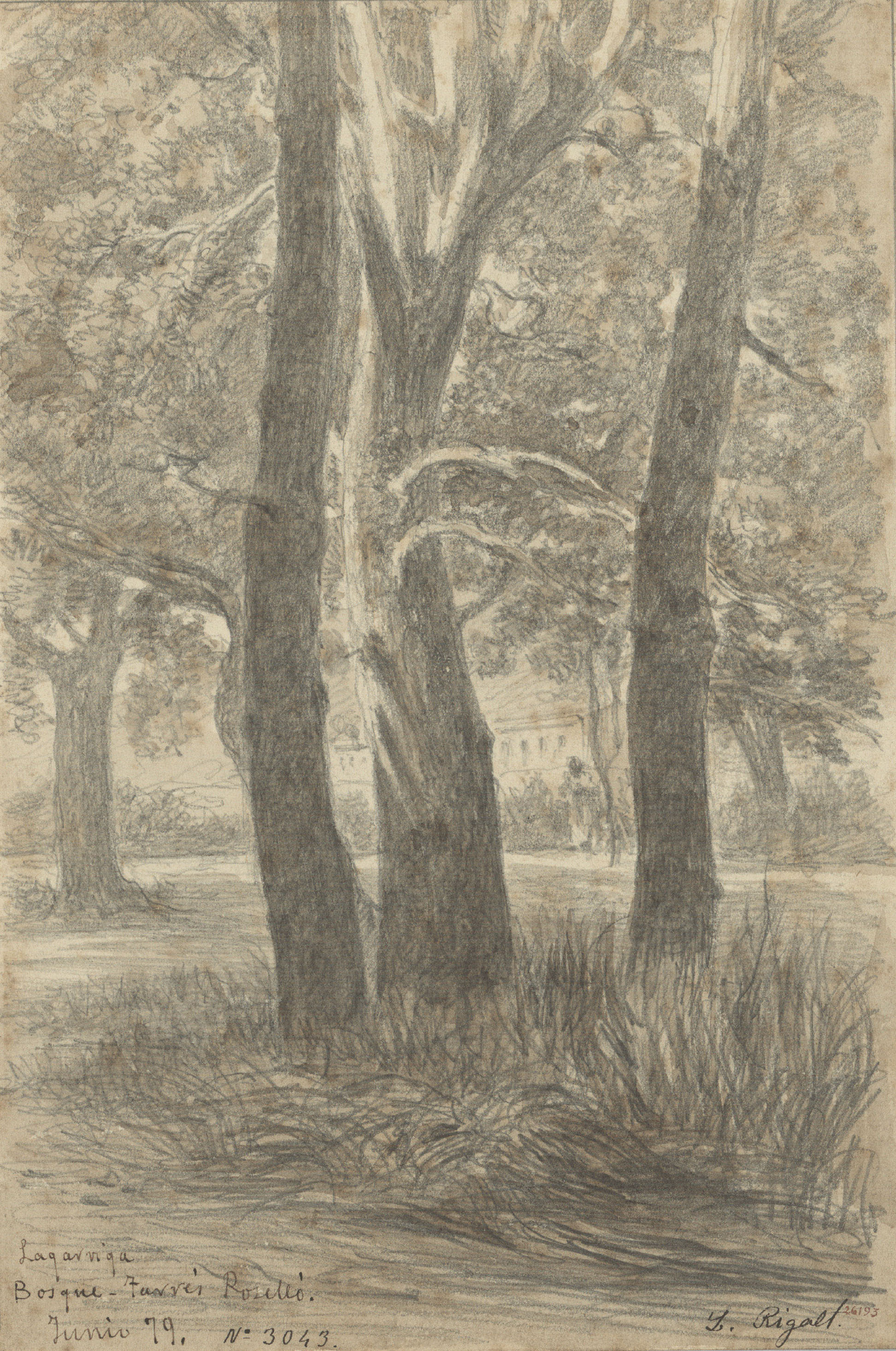 image for: Lluís Rigalt - Lagarriga. Bosque Tarrés Roselló - Juny de 1879