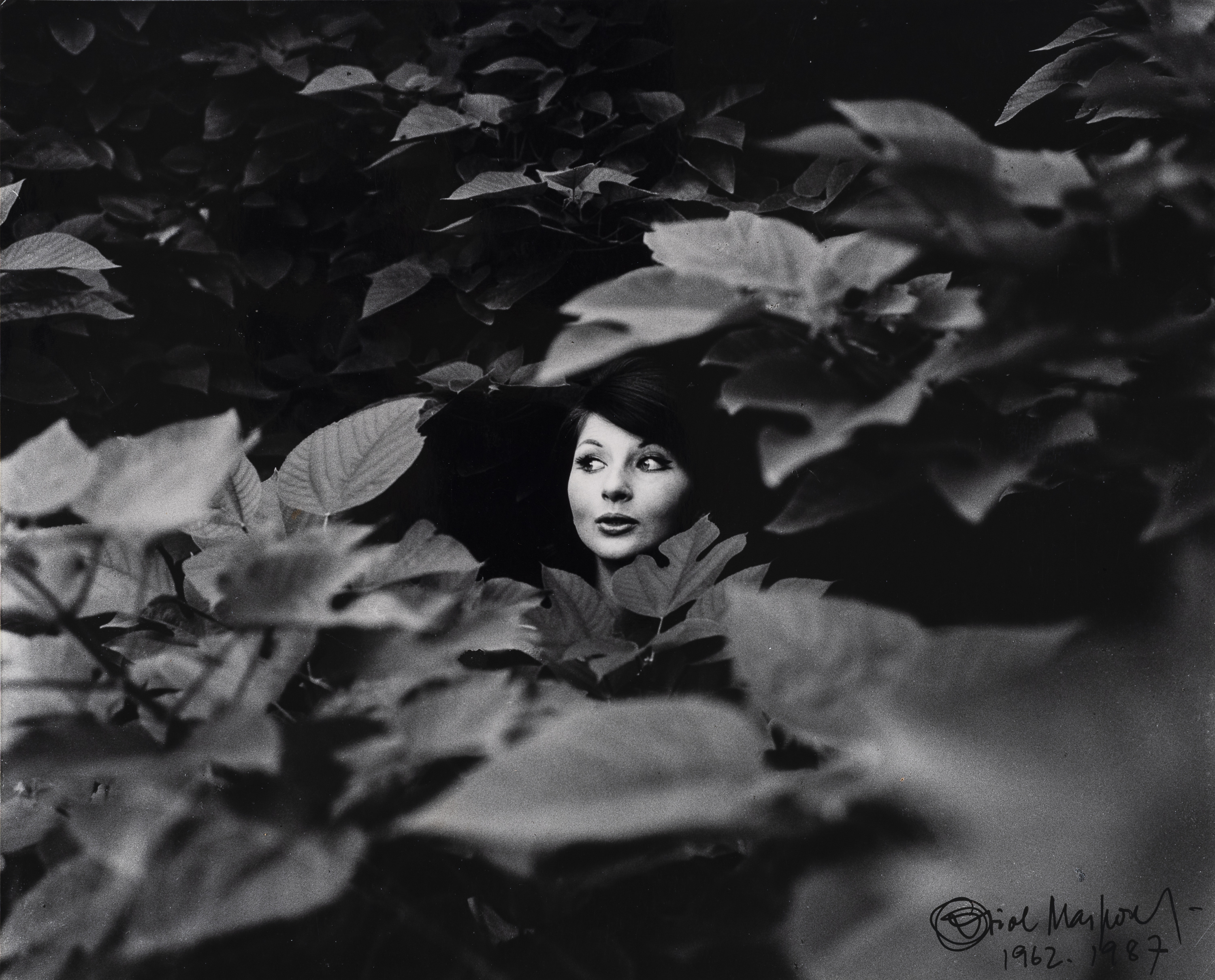 image for: Oriol Maspons - Germaine - 1962 (tiratge 1987)