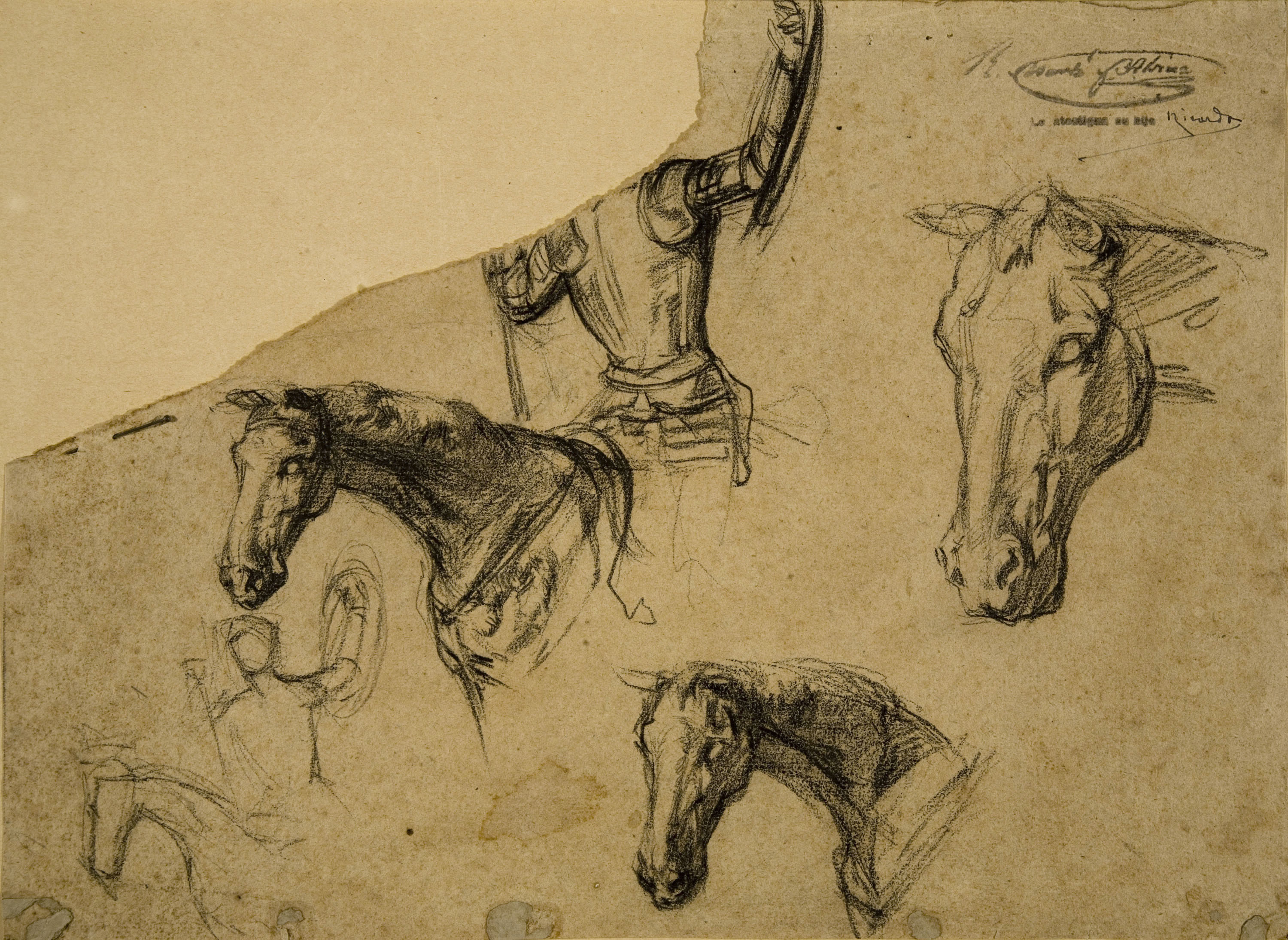 image for: Ramon Martí i Alsina - Apunts de genet a cavall i de caps de cavall per a un quadre del Quixot - Cap a 1870-1890