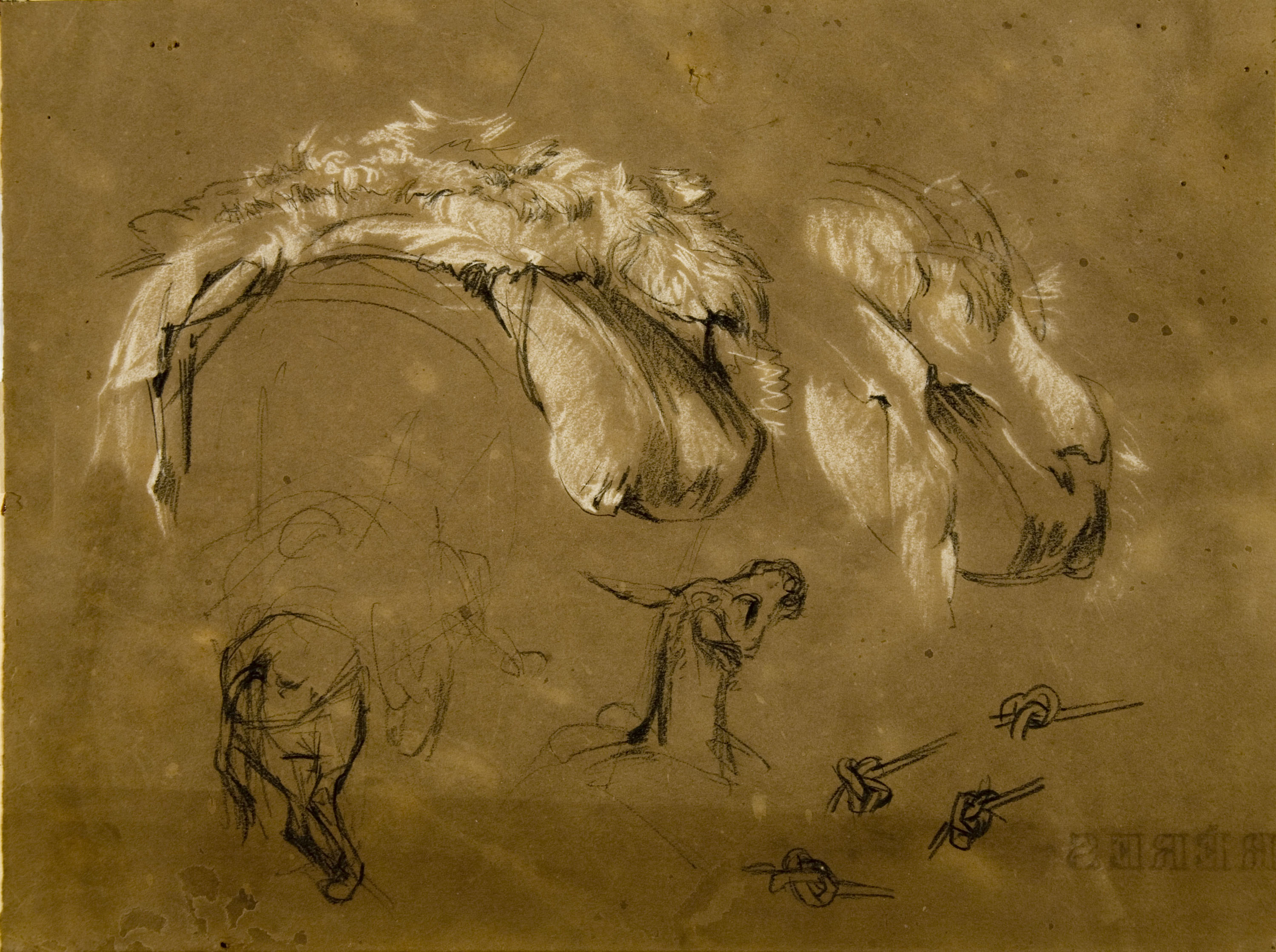 image for: Ramon Martí i Alsina - Estudi de ruc i sàrries per al quadre del Quixot - Cap a 1860-1880