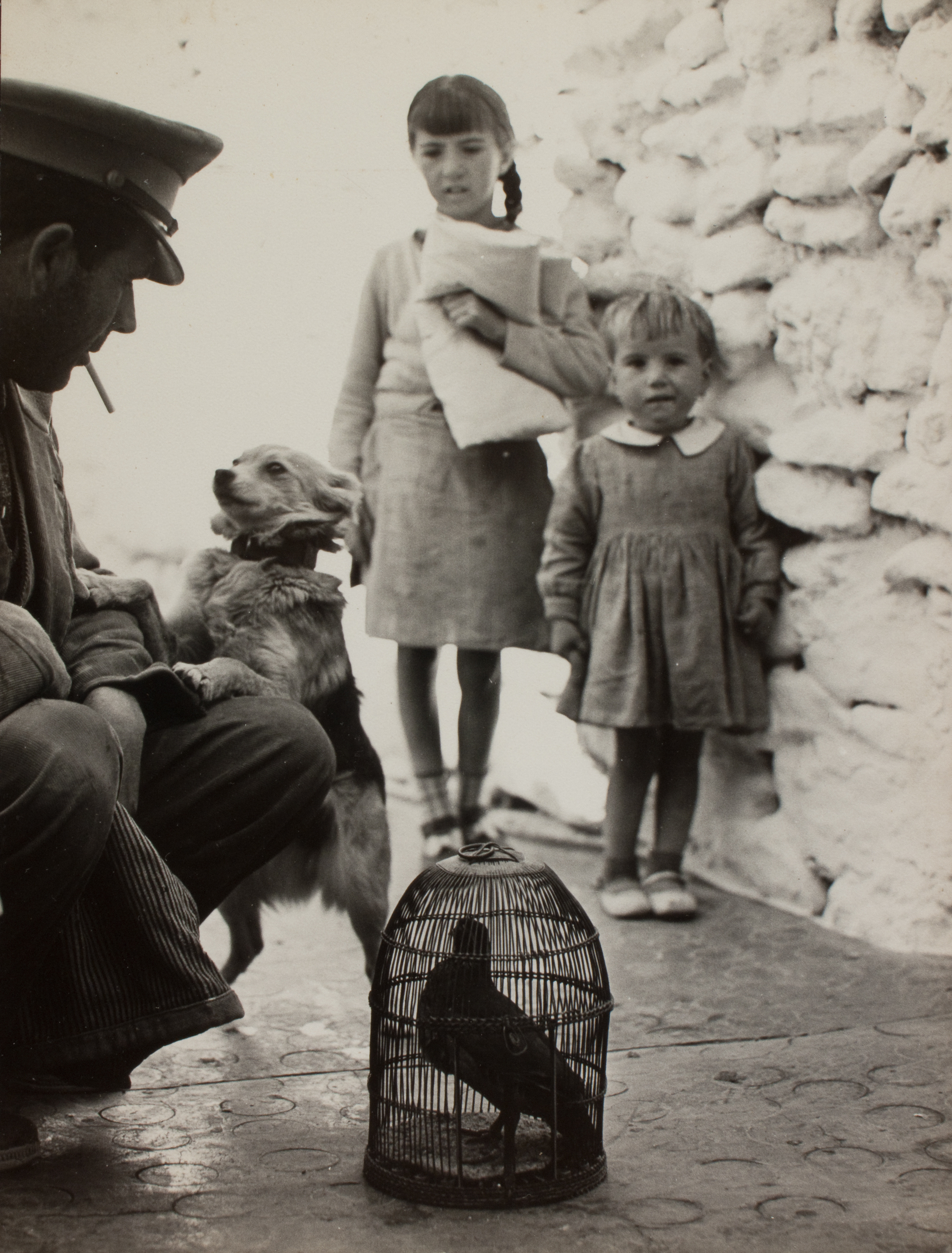 image for: Oriol Maspons - Fotografia per al llibre «La caza de la perdiz roja», de Miguel Delibes - 1962