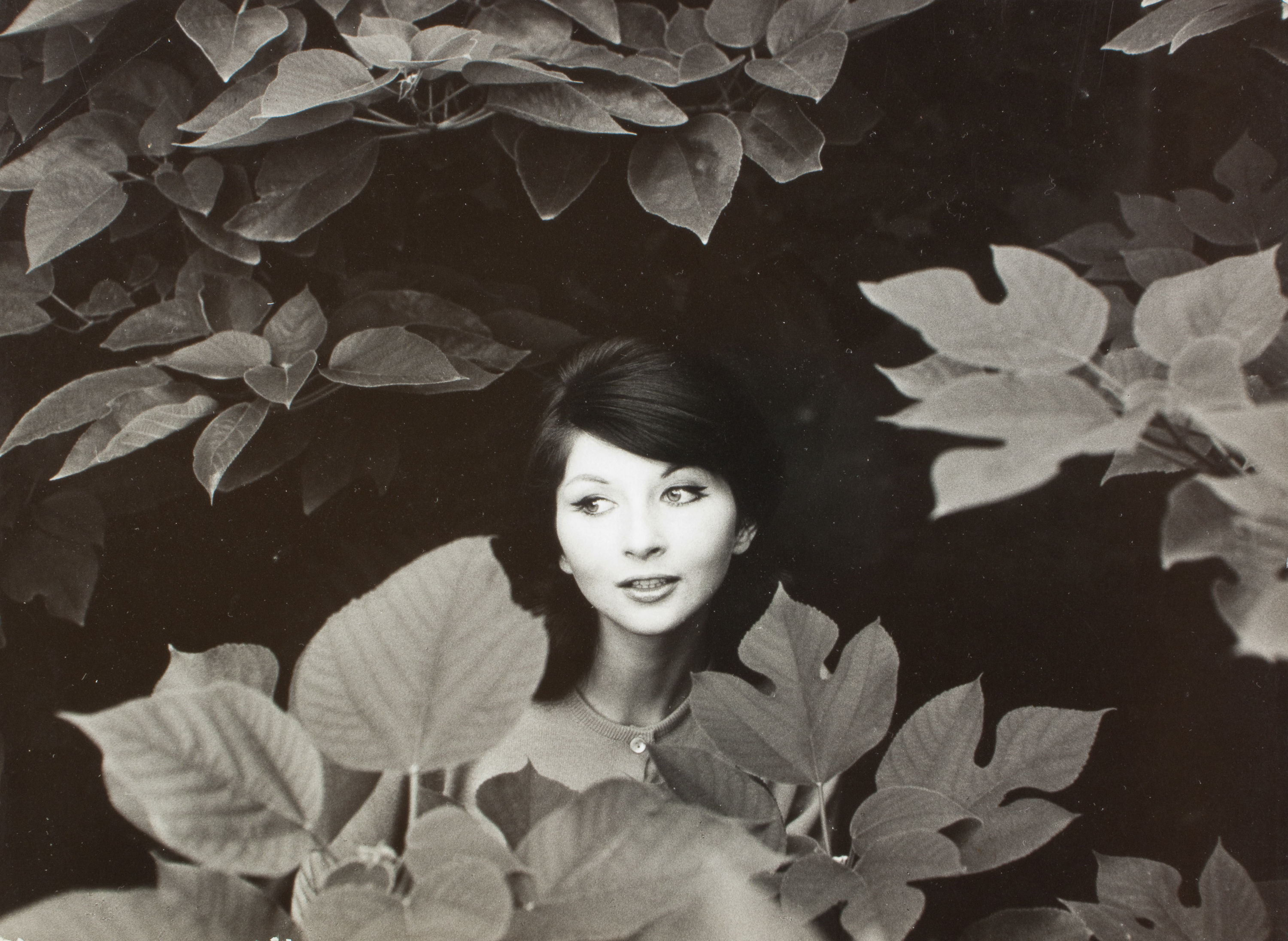 image for: Oriol Maspons - Germaine - 1959