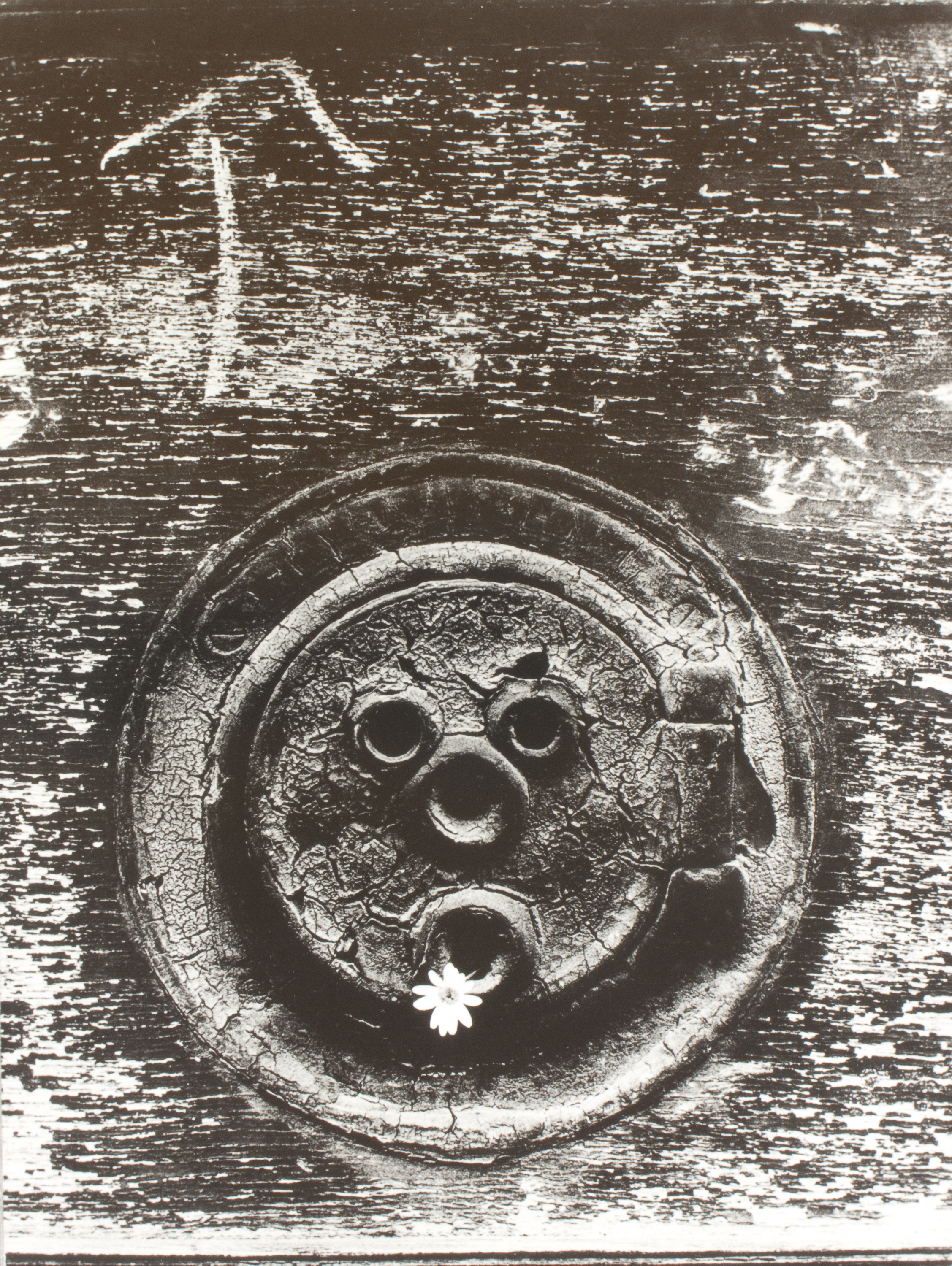 image for: Oriol Maspons - Primavera en París - 1955 (tiratge posterior)