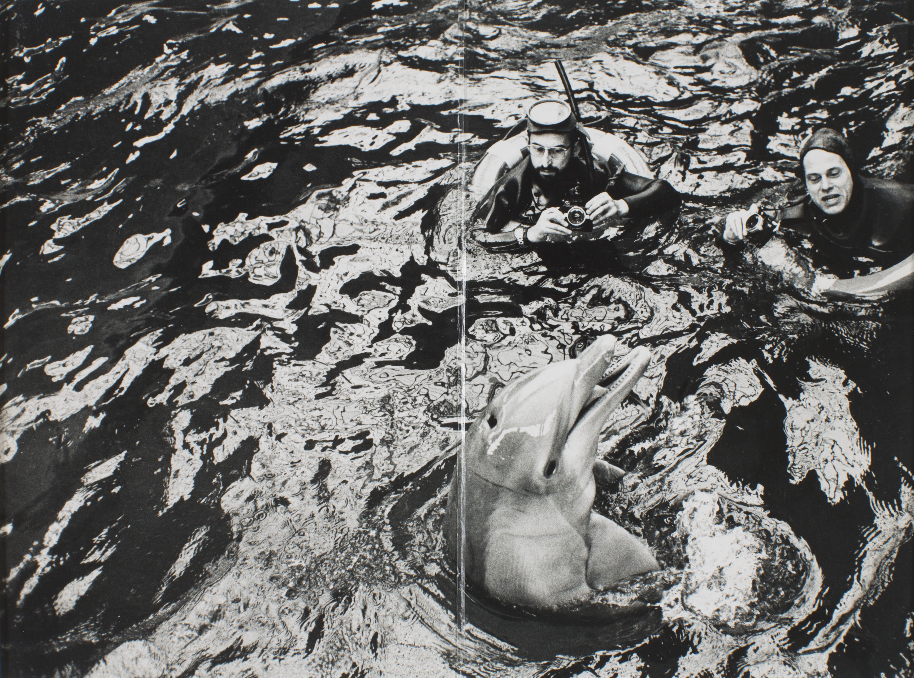 image for: Oriol Maspons - Oriol Maspons i Julio Ubiña en un delfinari (Nadala) - 1965