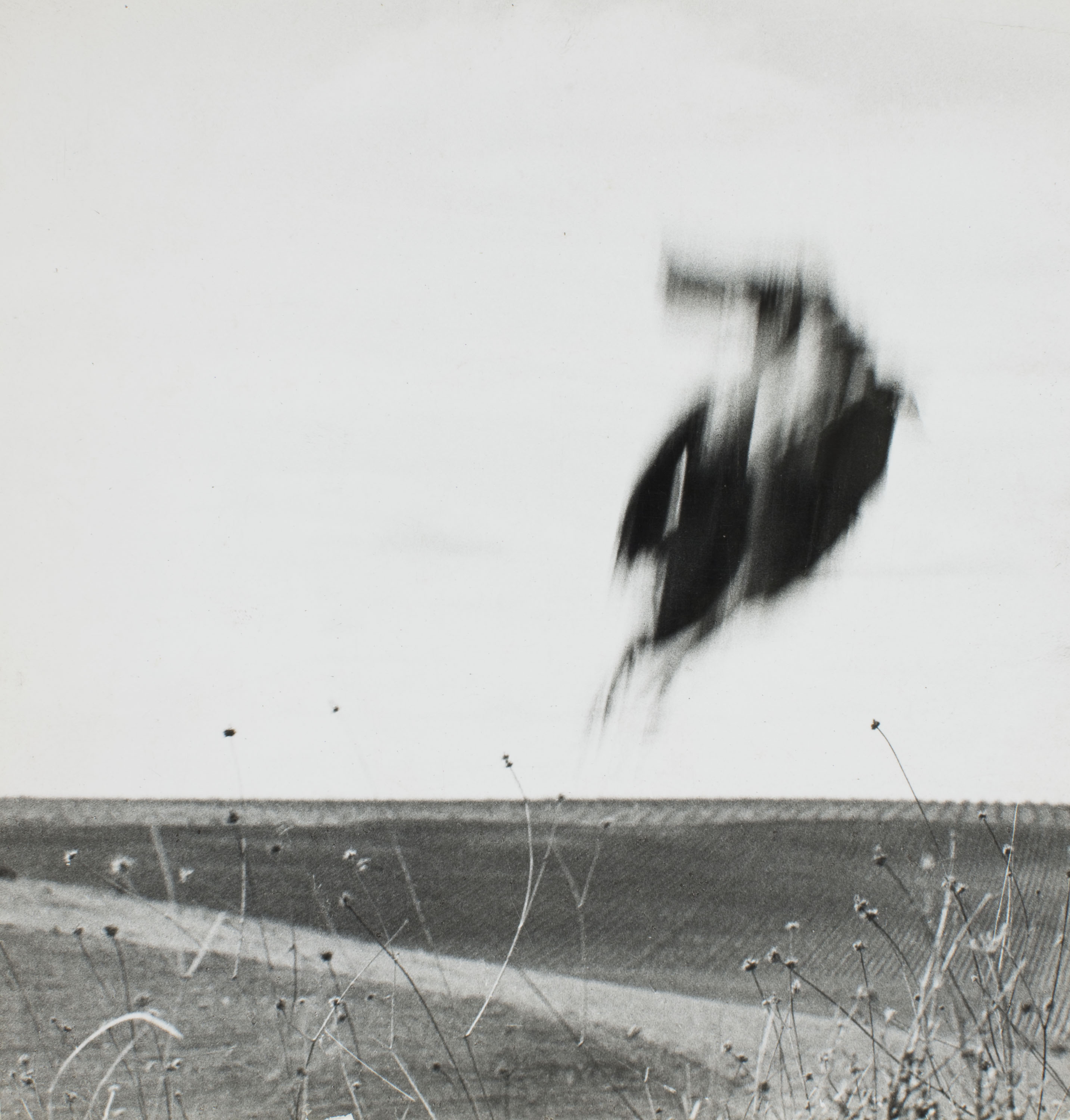 image for: Oriol Maspons - Fotografia per al llibre «La caza de la perdiz roja», de Miguel Delibes - 1962