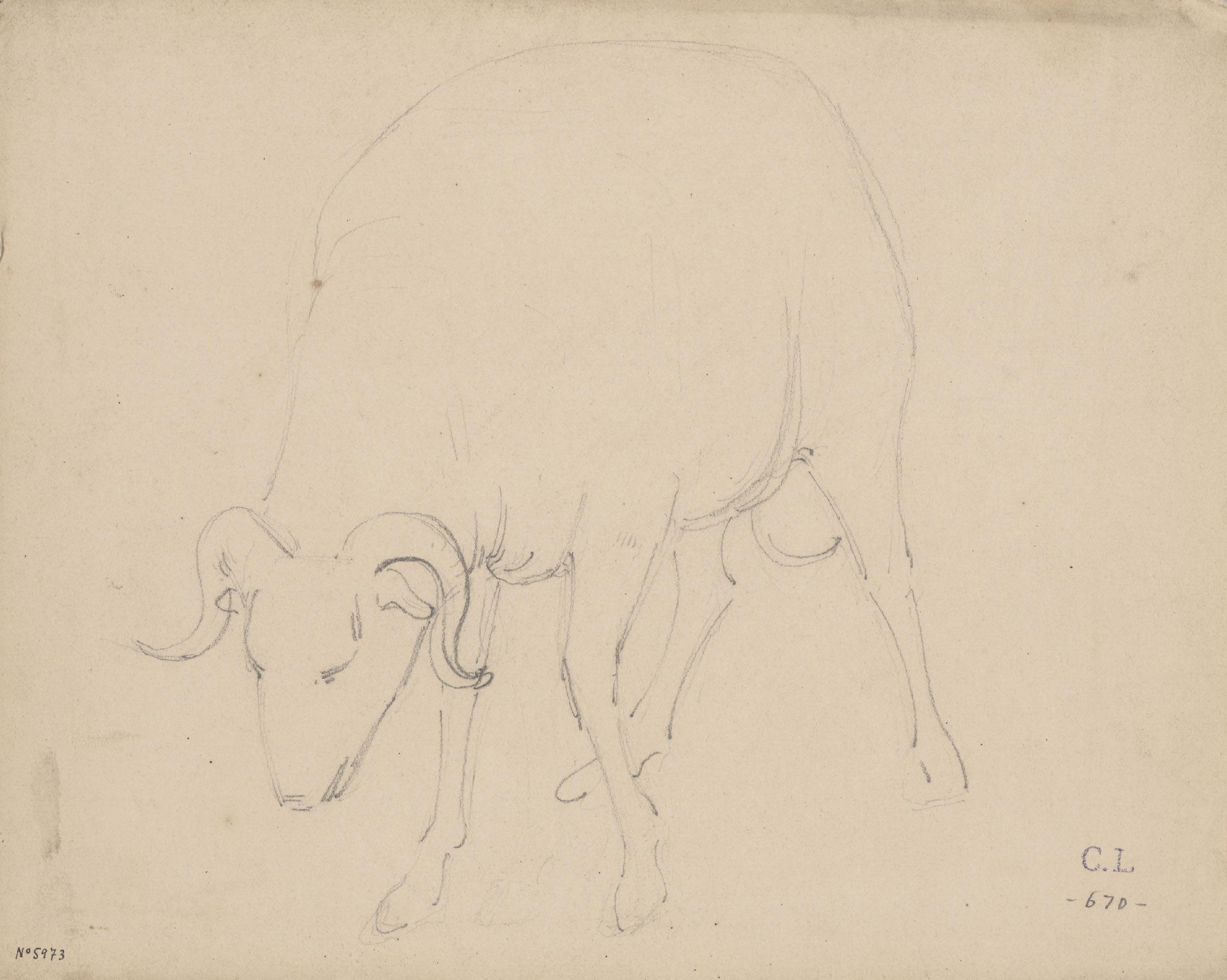 image for: Claudi Lorenzale - Cabra - Cap a 1850-1870