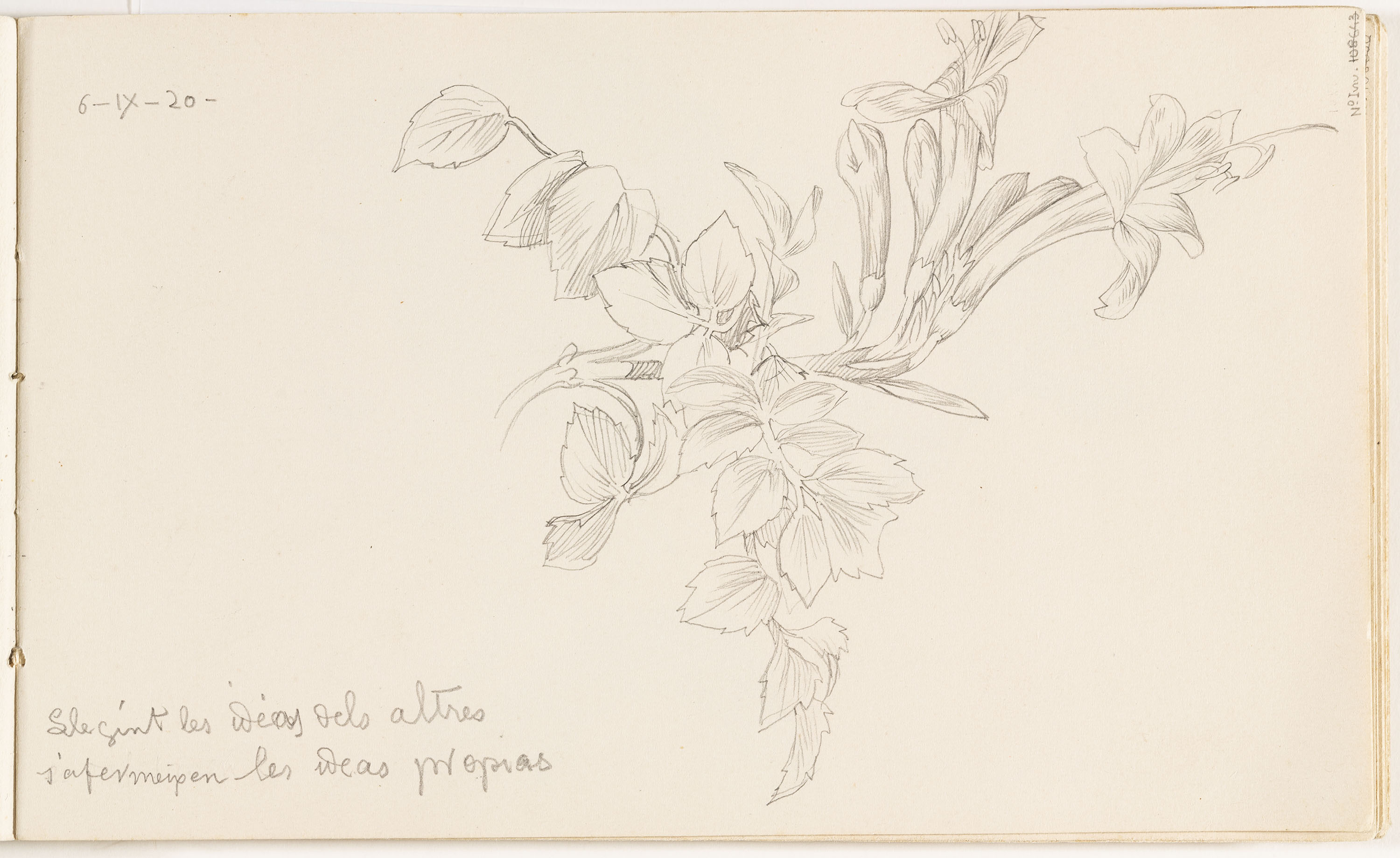 image for: Alexandre de Riquer - Bignoniàcies - 1920