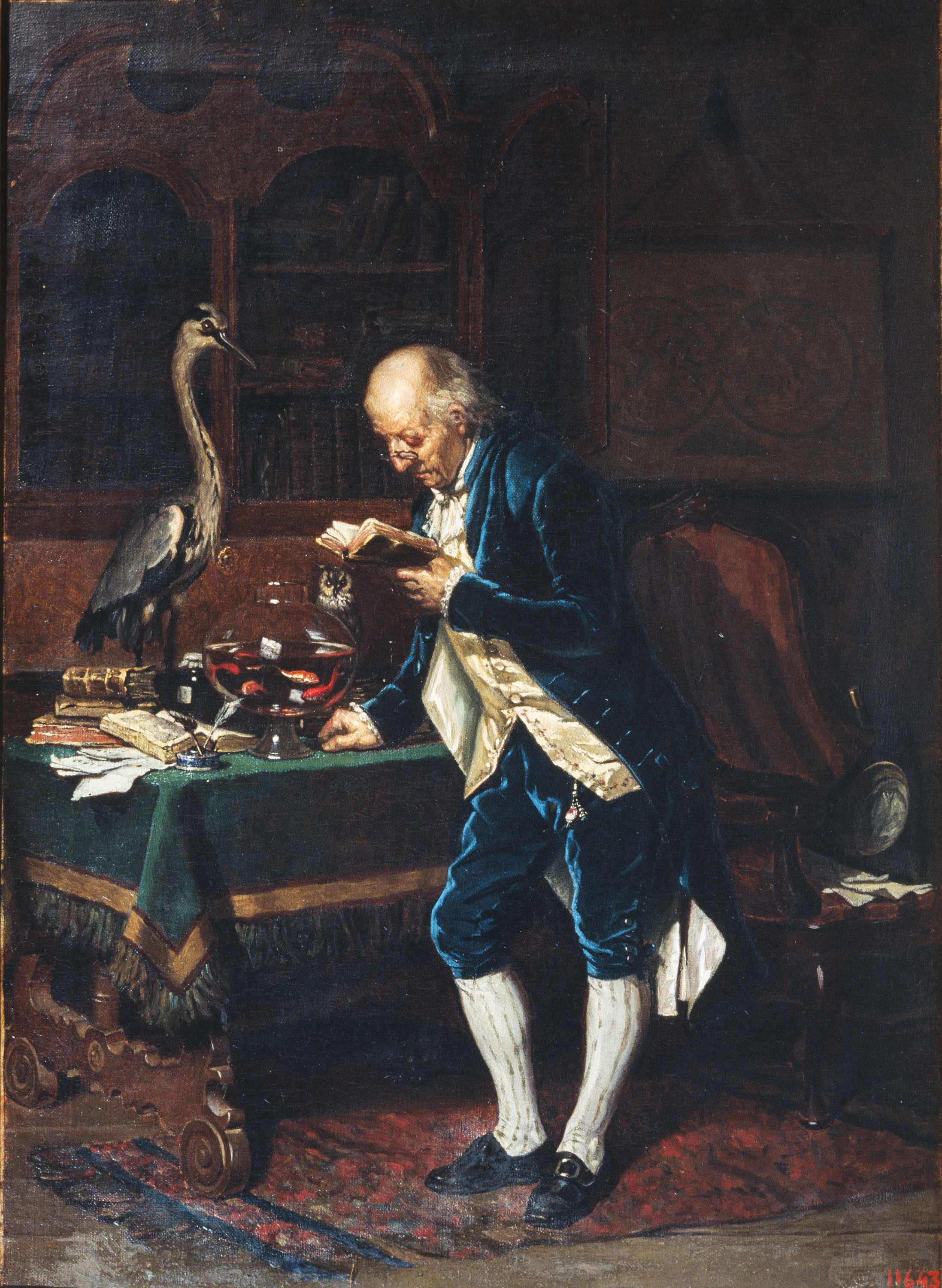 image for: Manuel Amell Jorda - Un naturalista - 1872