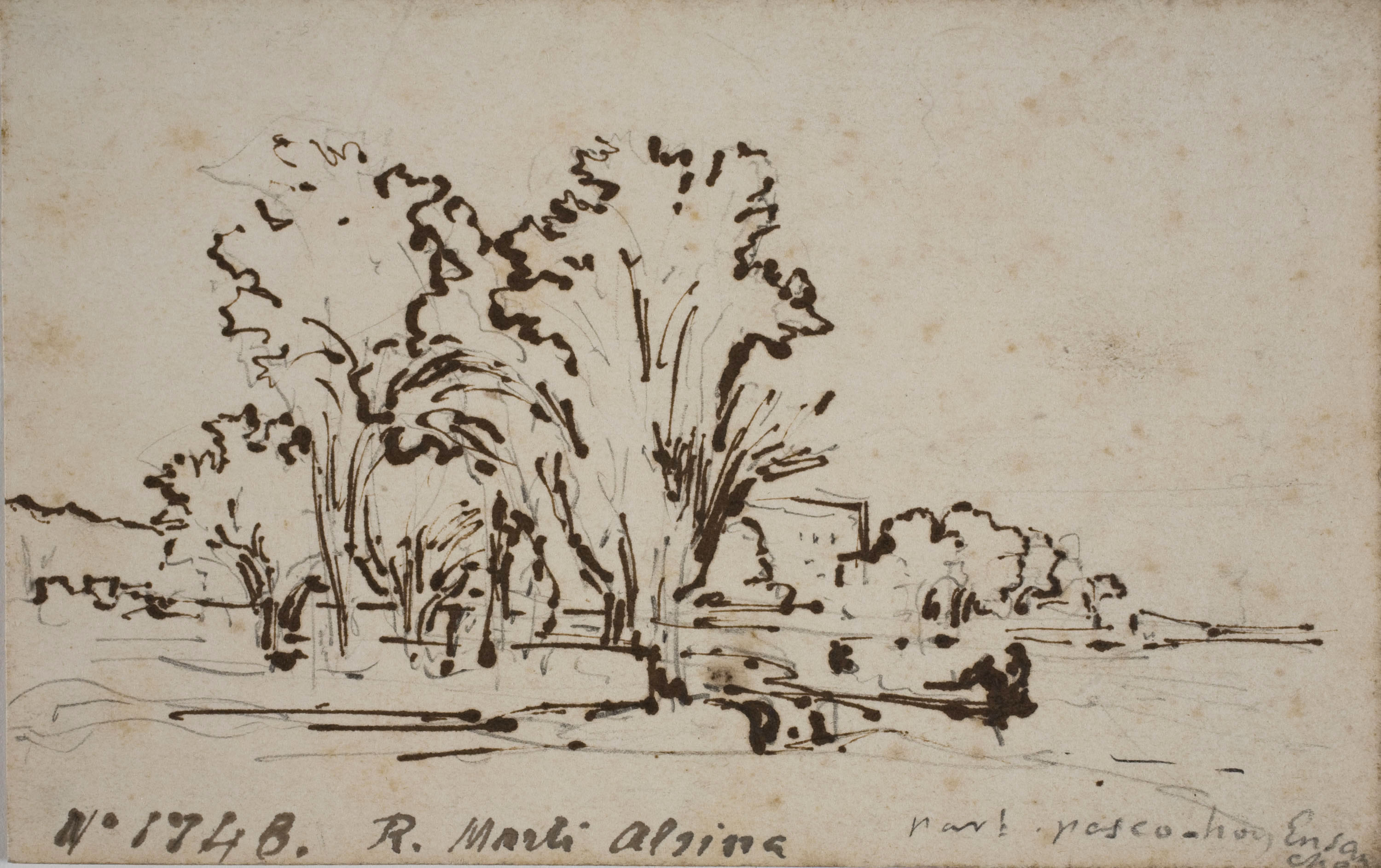 image for: Ramon Martí i Alsina - Estudi d&#039;arbres - Cap a 1850-1855