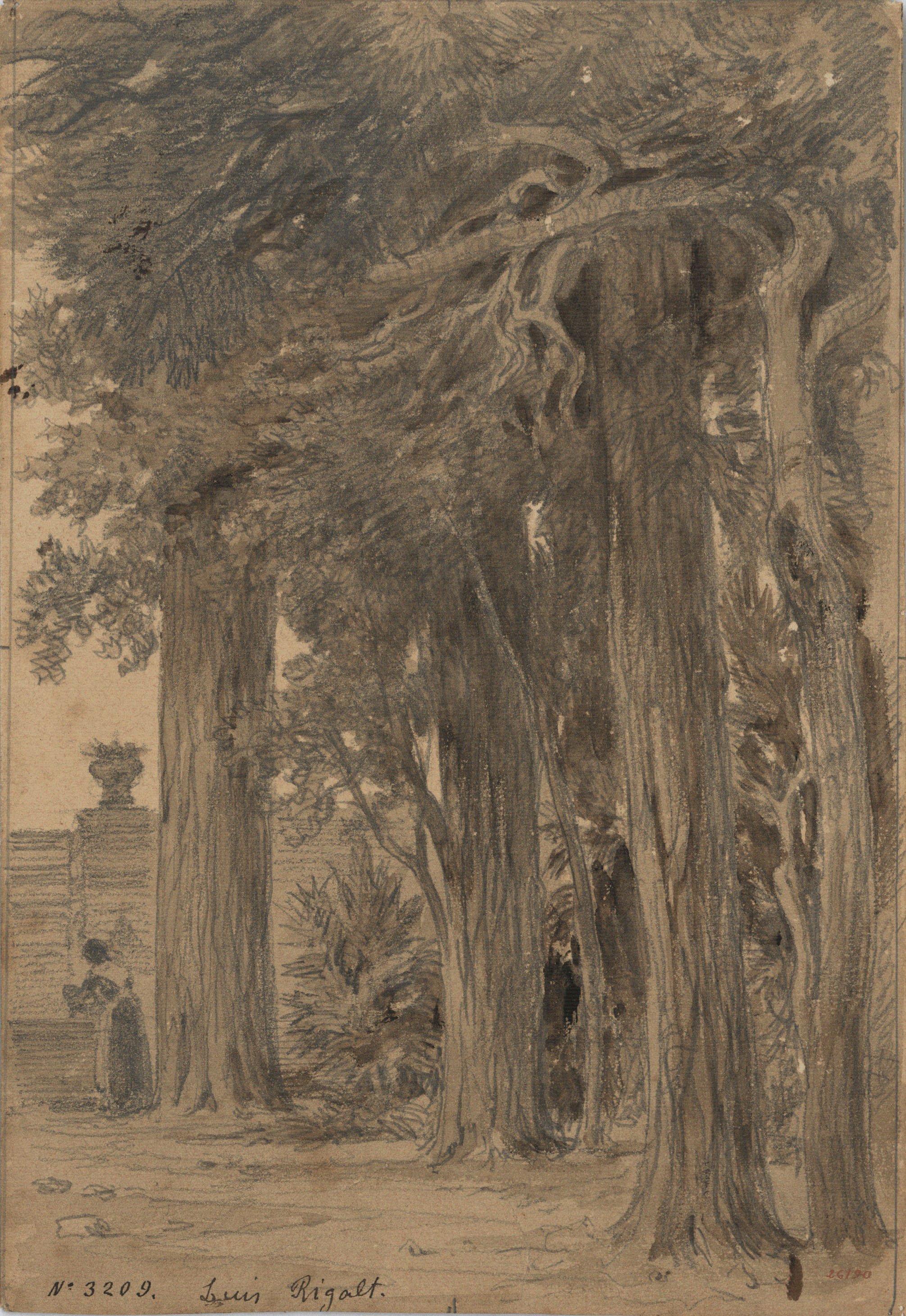 image for: Lluís Rigalt - Jardí amb arbres i dona - Cap a 1860-1870