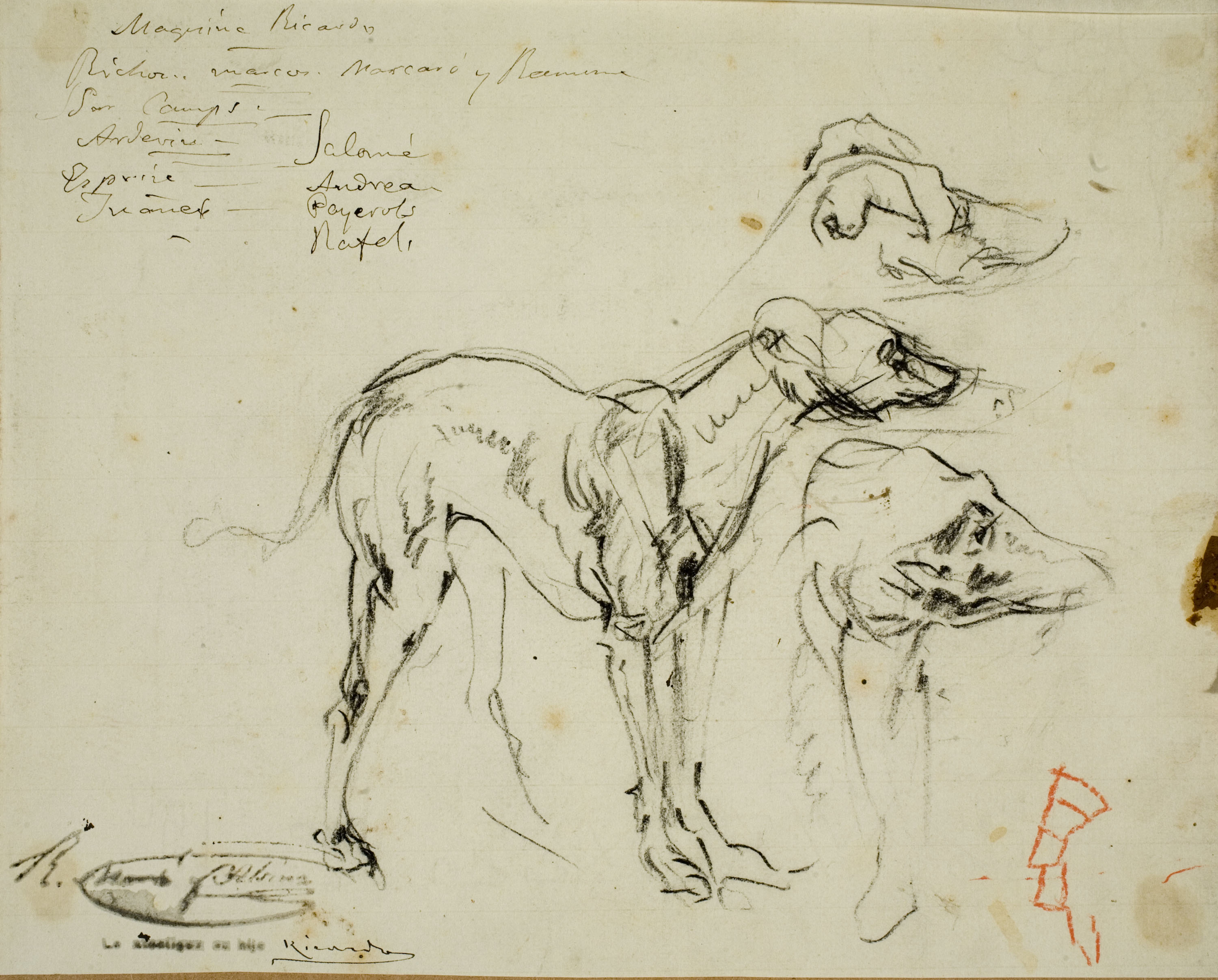 image for: Ramon Martí i Alsina - Estudi de gossos - Cap a 1860-1865