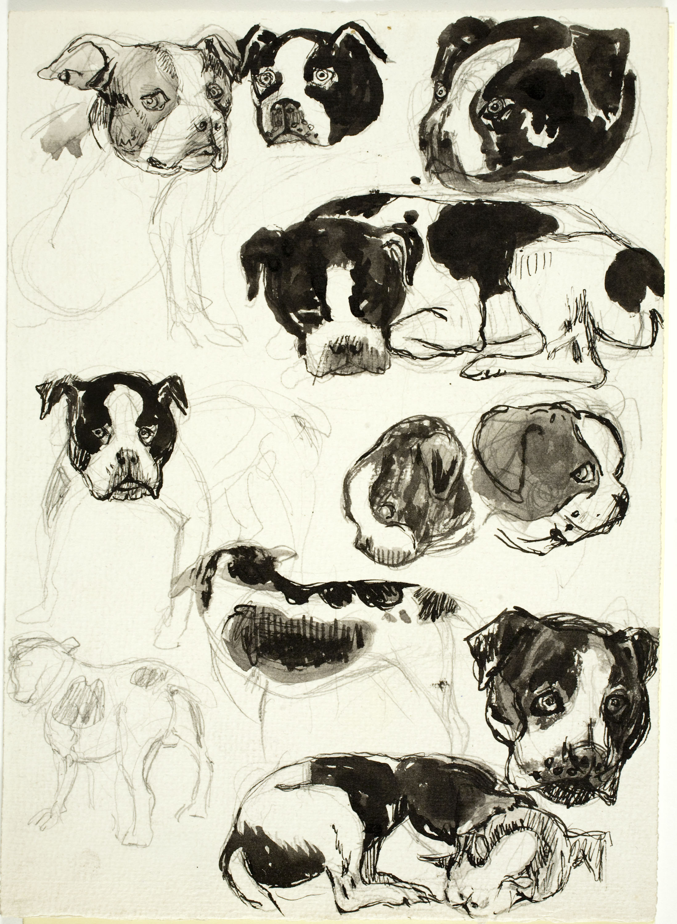 image for: Ismael Smith - Apunts de gossos - Cap a 1905-1915