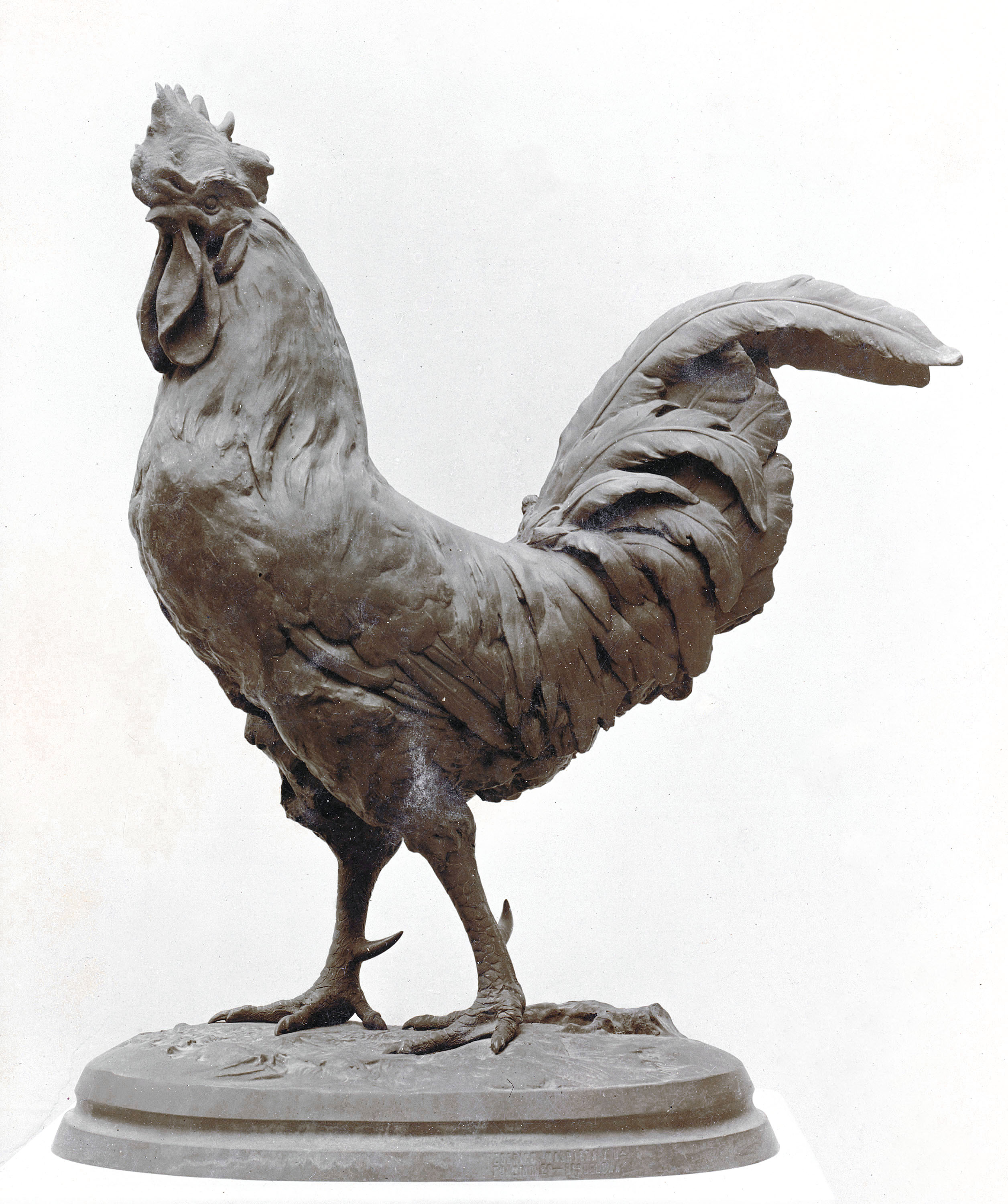 image for: Joan González Pellicer - Gall - 1891
