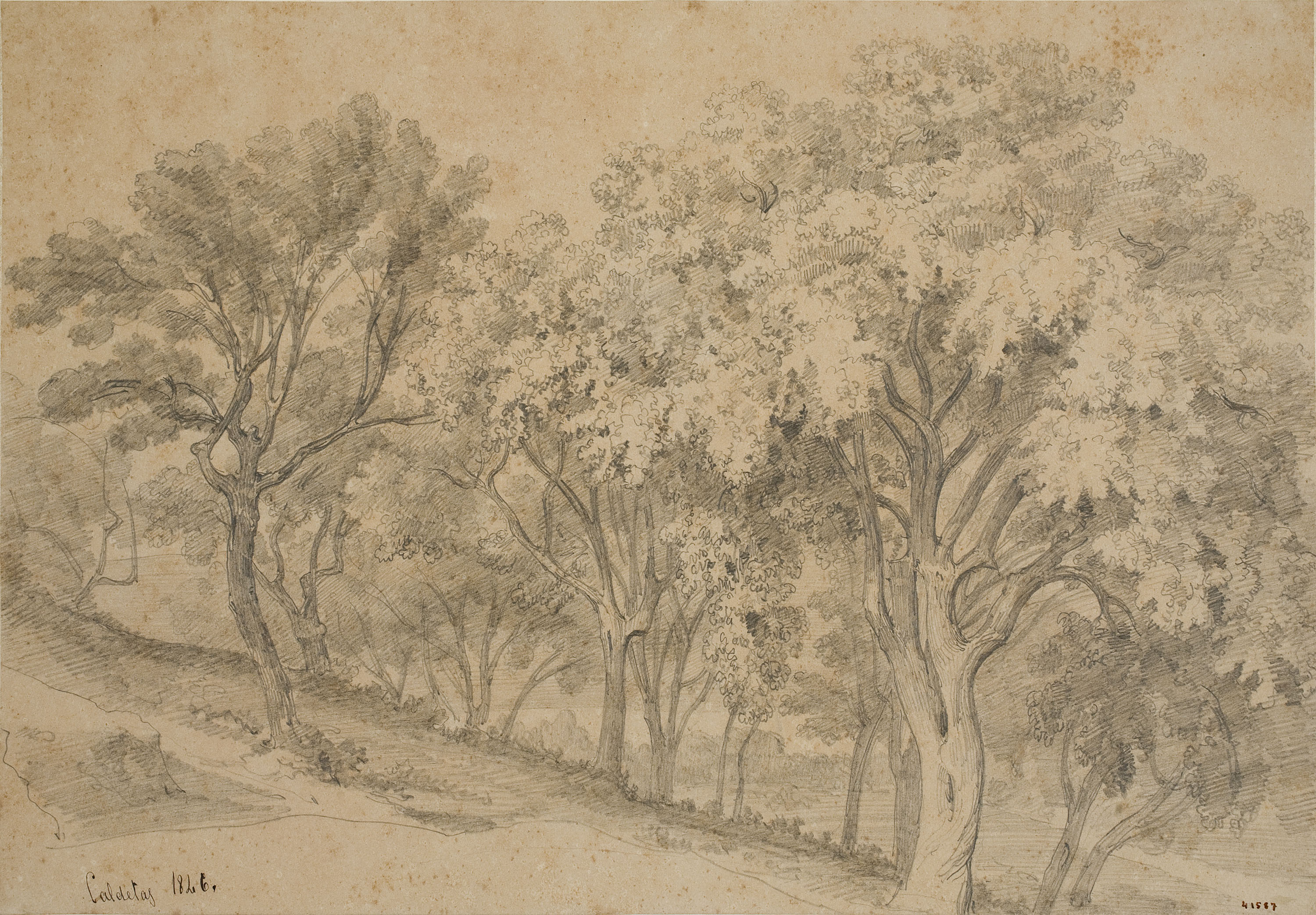 image for: Lluís Rigalt - Caldetas - 1846