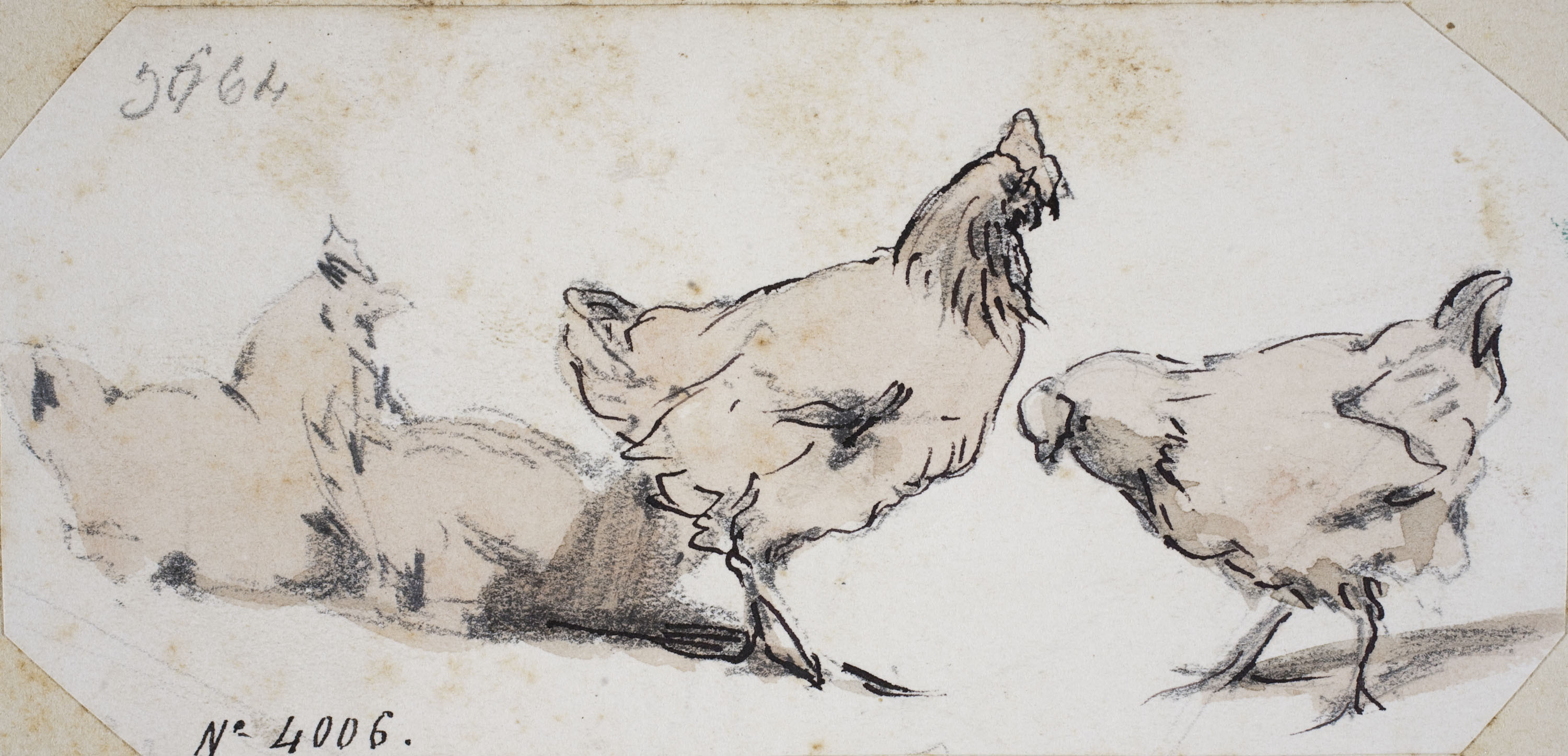 image for: Modest Urgell - Gallines - Cap a 1864