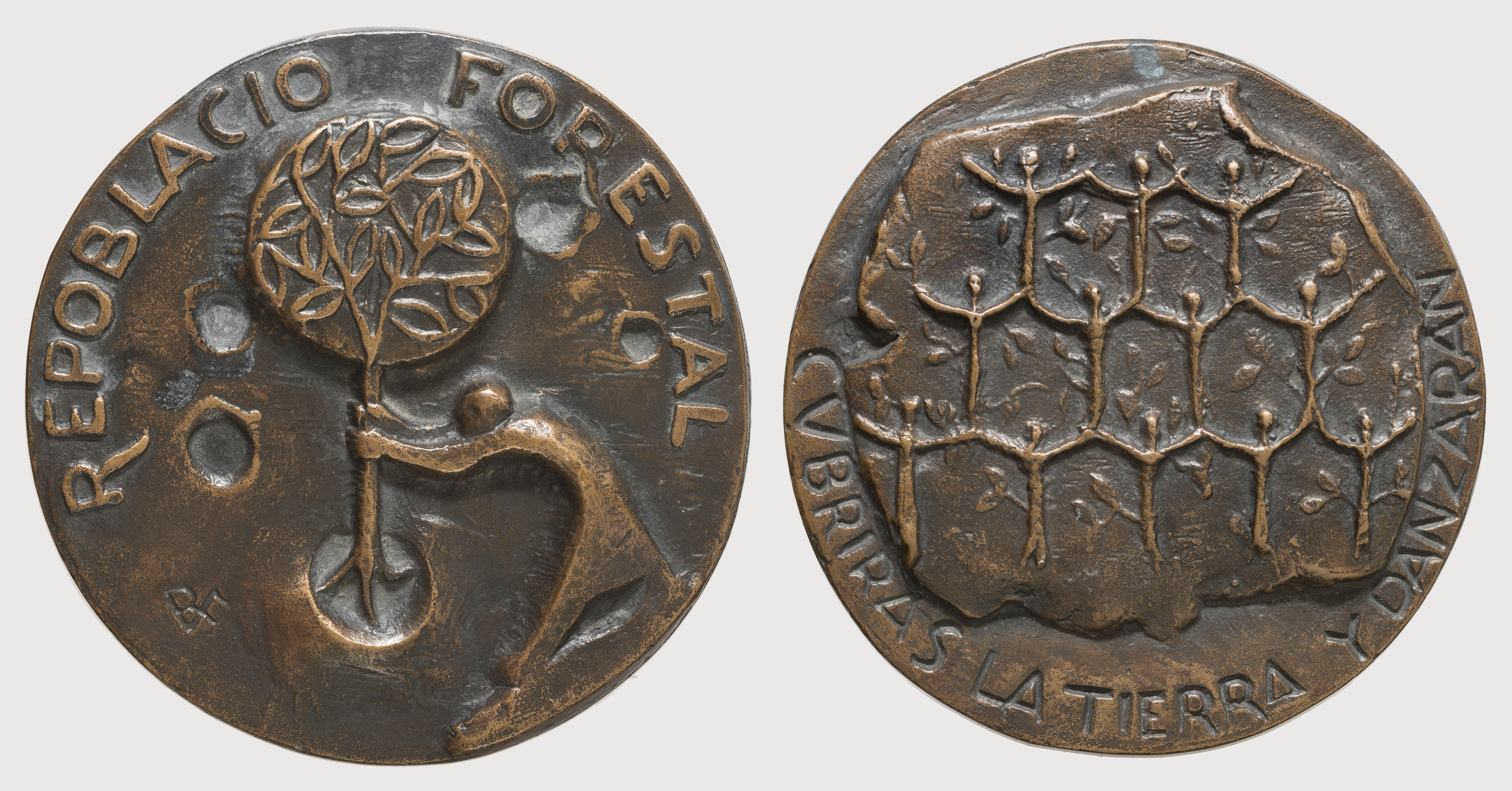 image for: Ramon Ferran - Repoblació forestal - 1967