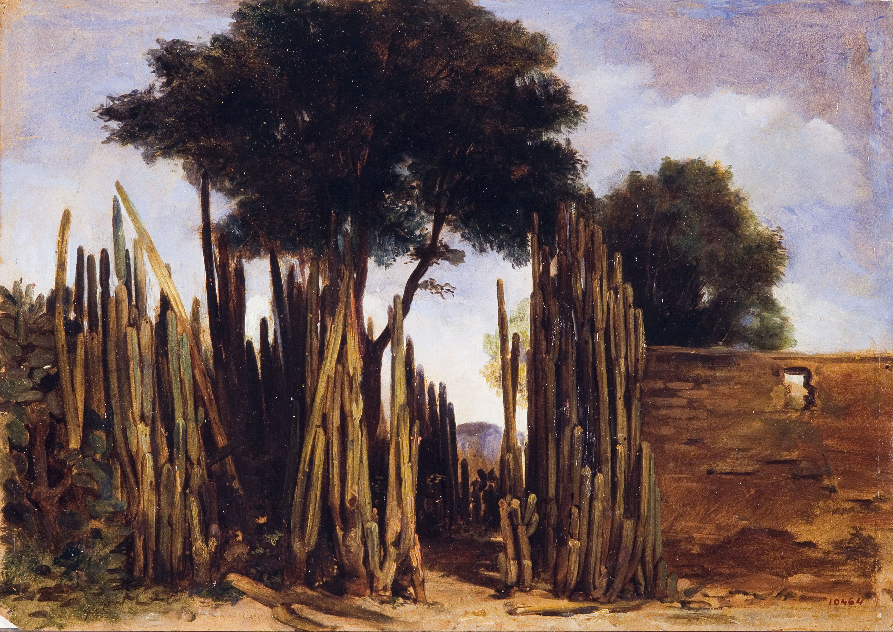 image for: Pelegrí Clavé - Paisatge mexicà (valla de órganos) - Cap a 1846-1868