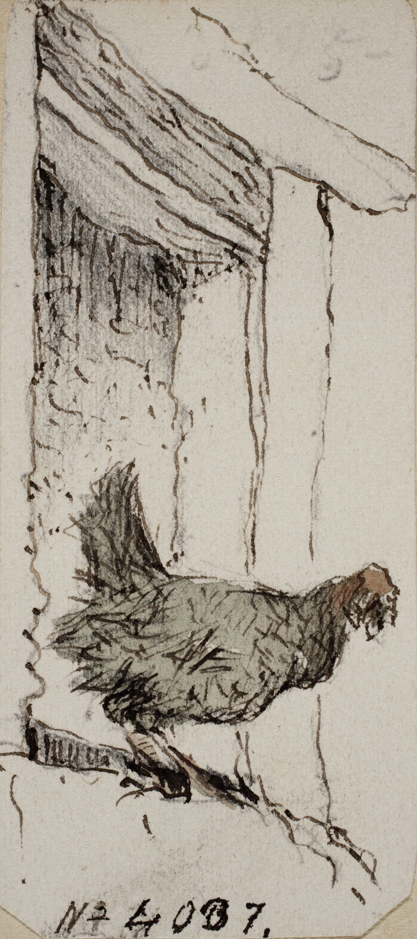 image for: Modest Urgell - Gallina - Cap a 1864